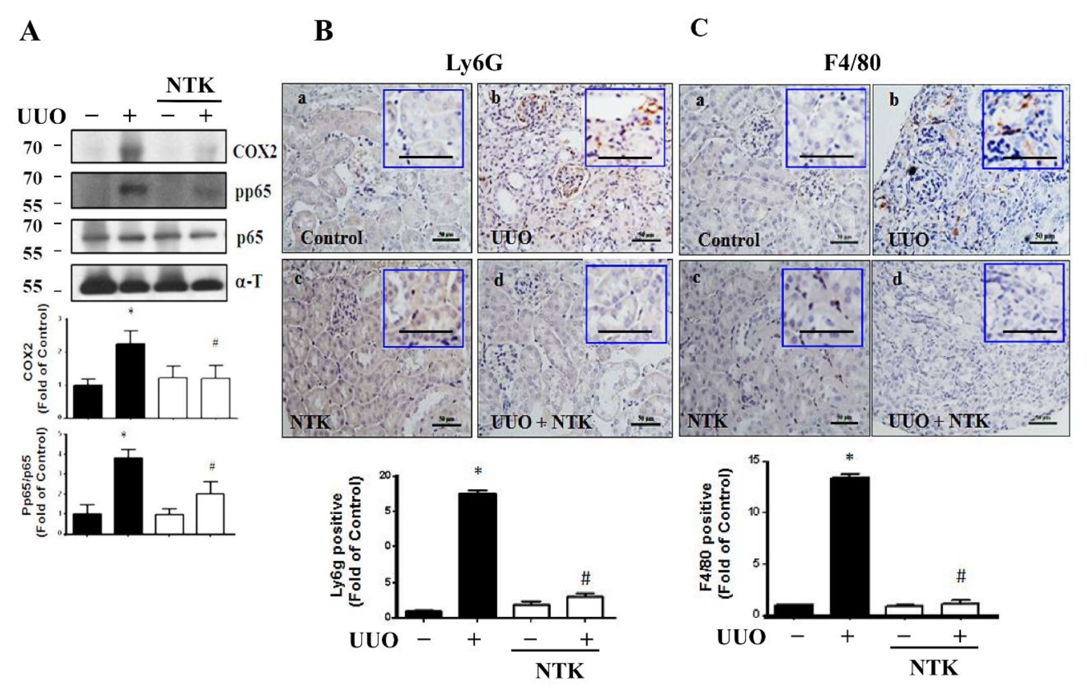 Nutrients 13 03921 g006 550