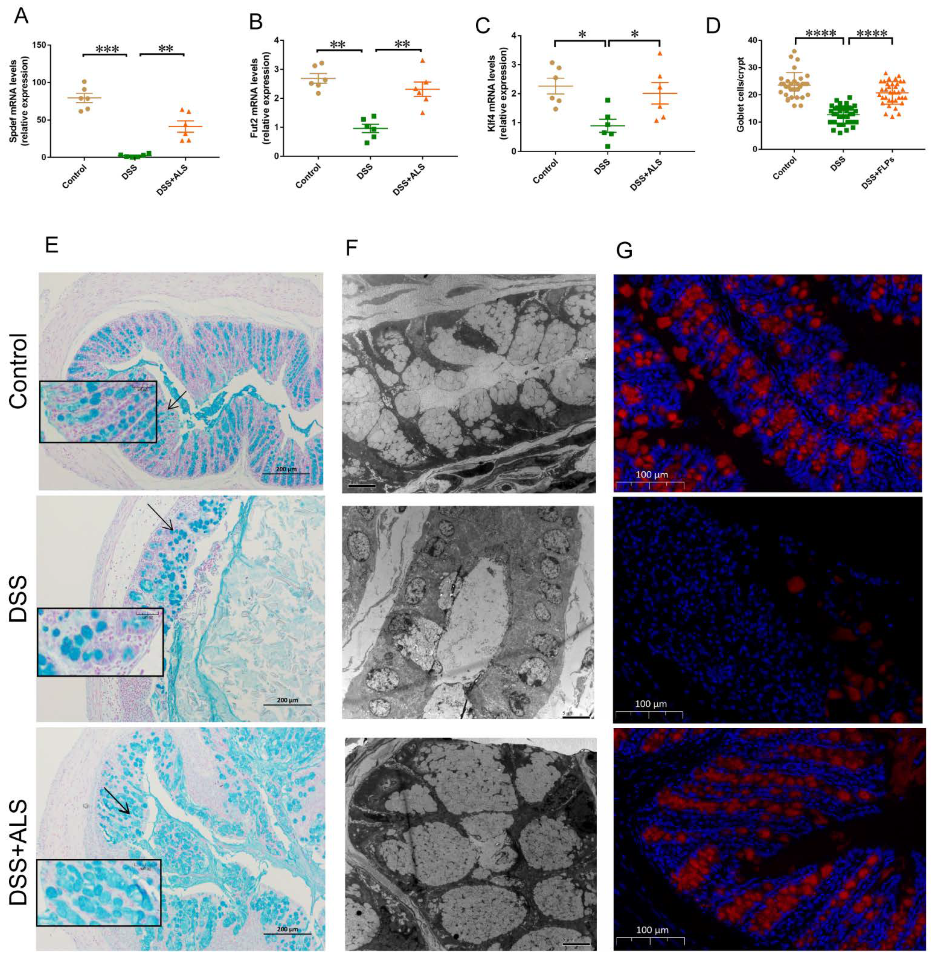 Nutrients 13 03926 g003