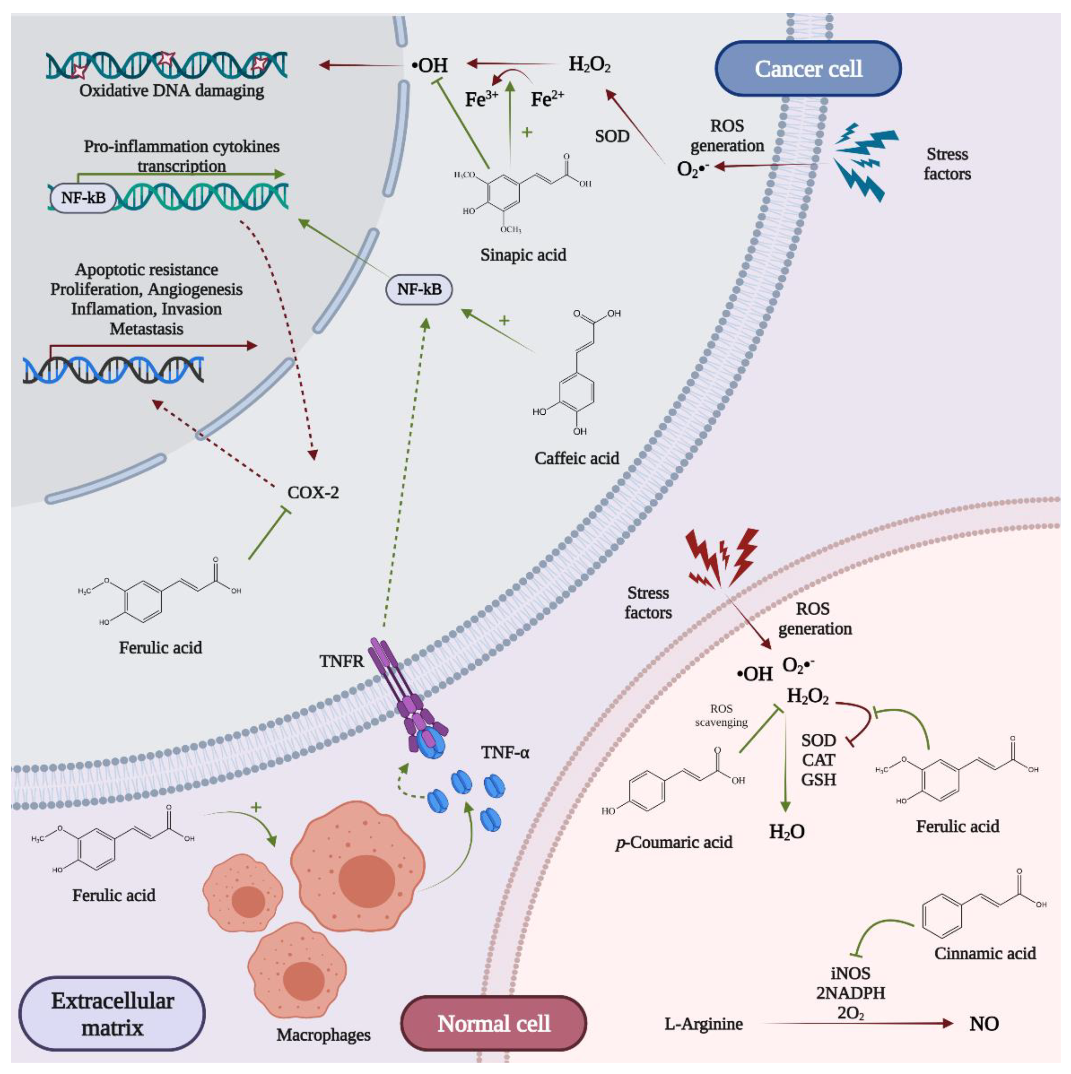 Nutrients 13 03934 g007