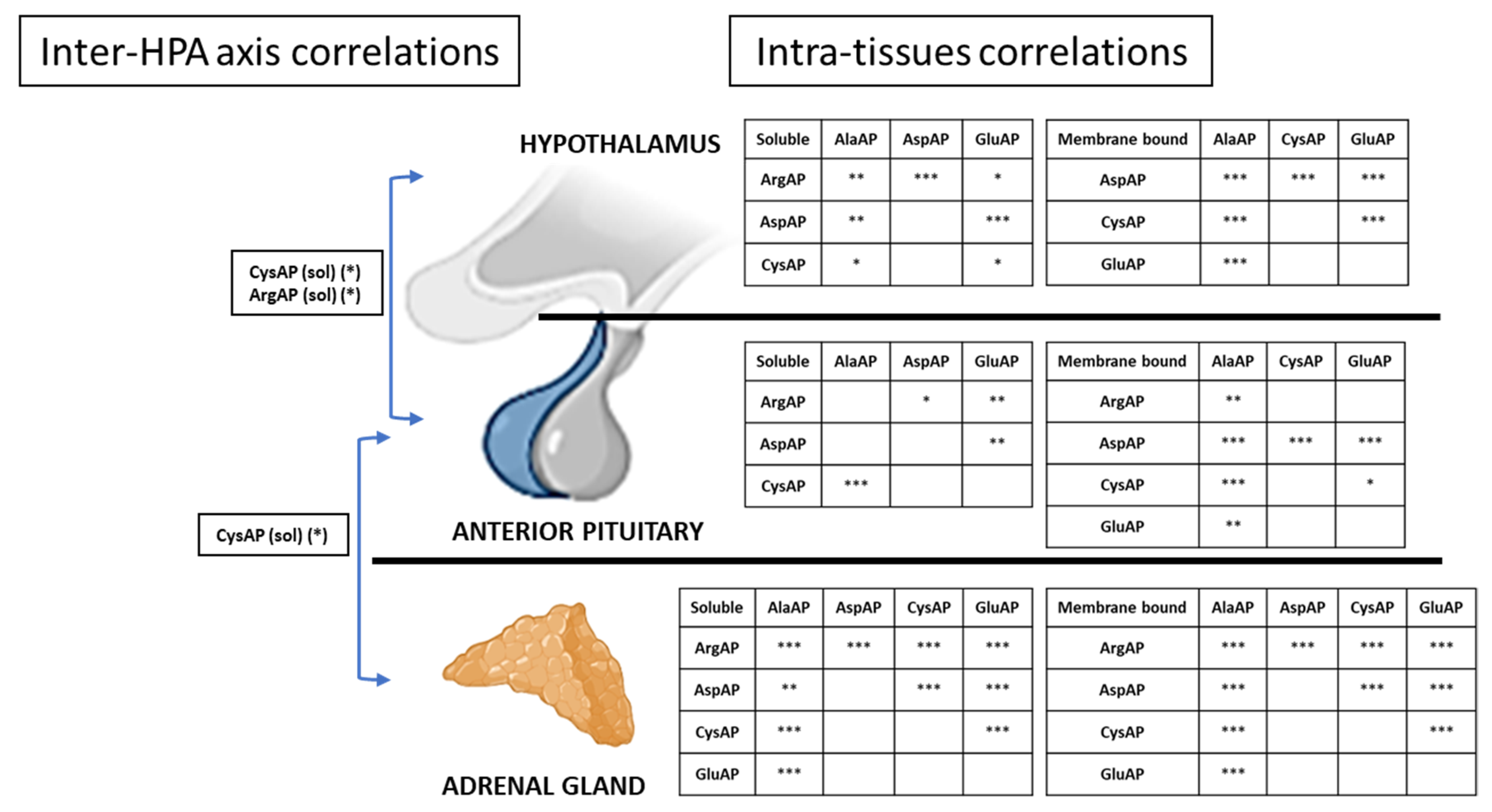 Nutrients 13 03939 g003