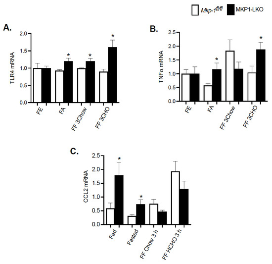 Fasting-Induced Upregulation of MKP-1 Modulates the Hepatic