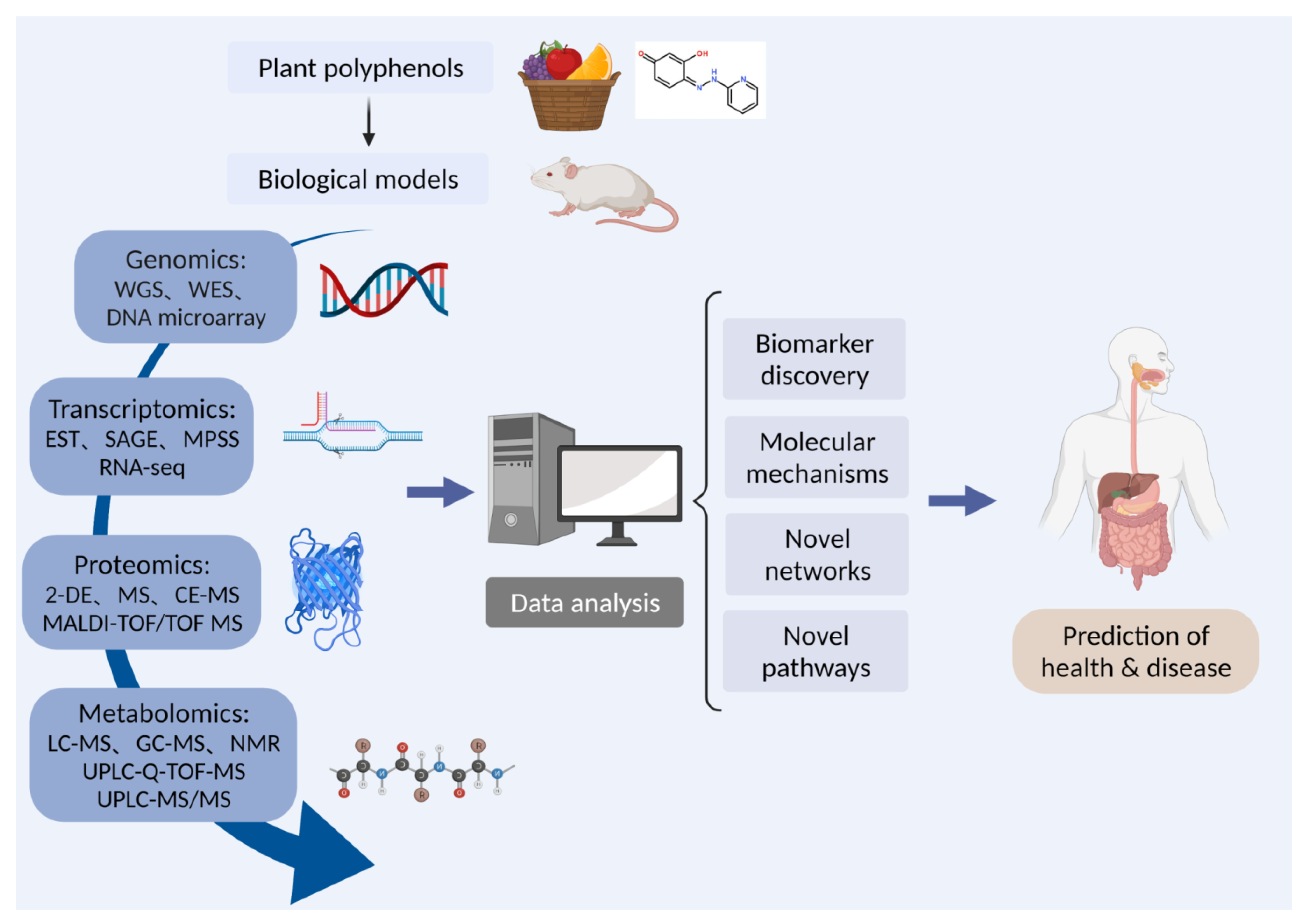 Nutrients 13 03953 g001 Nutrients 13 03953 g001