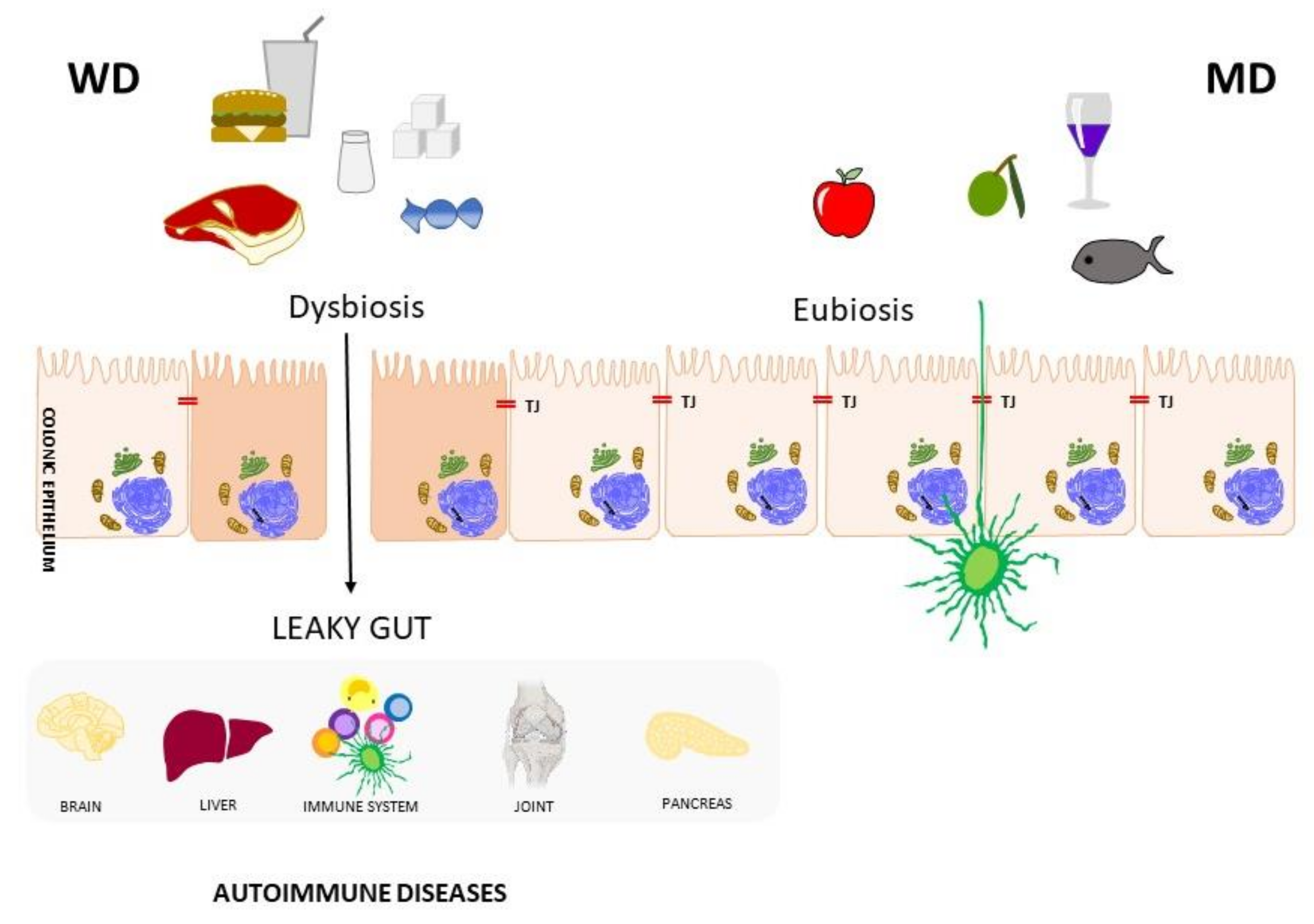 Nutrients 13 03956 g001 Nutrients 13 03956 g001
