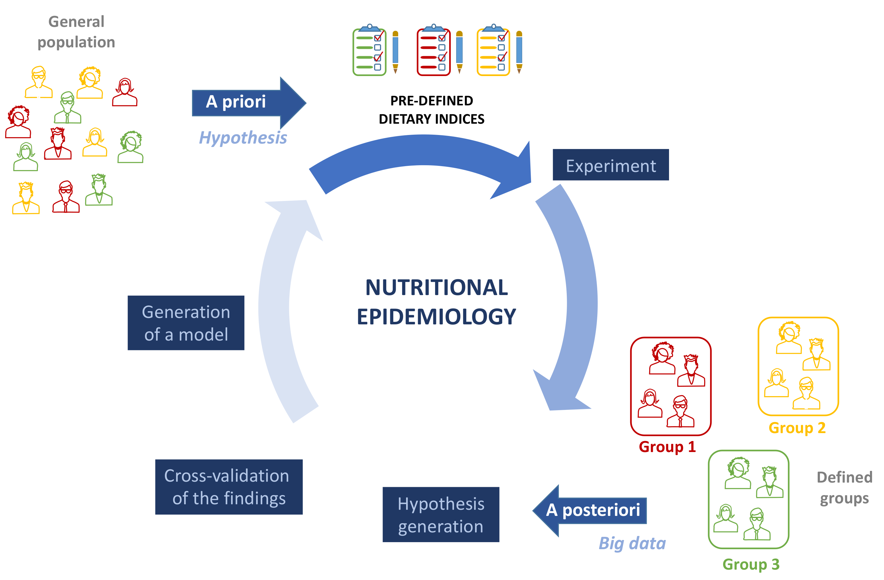 Nutrients 13 03956 g002 Nutrients 13 03956 g002
