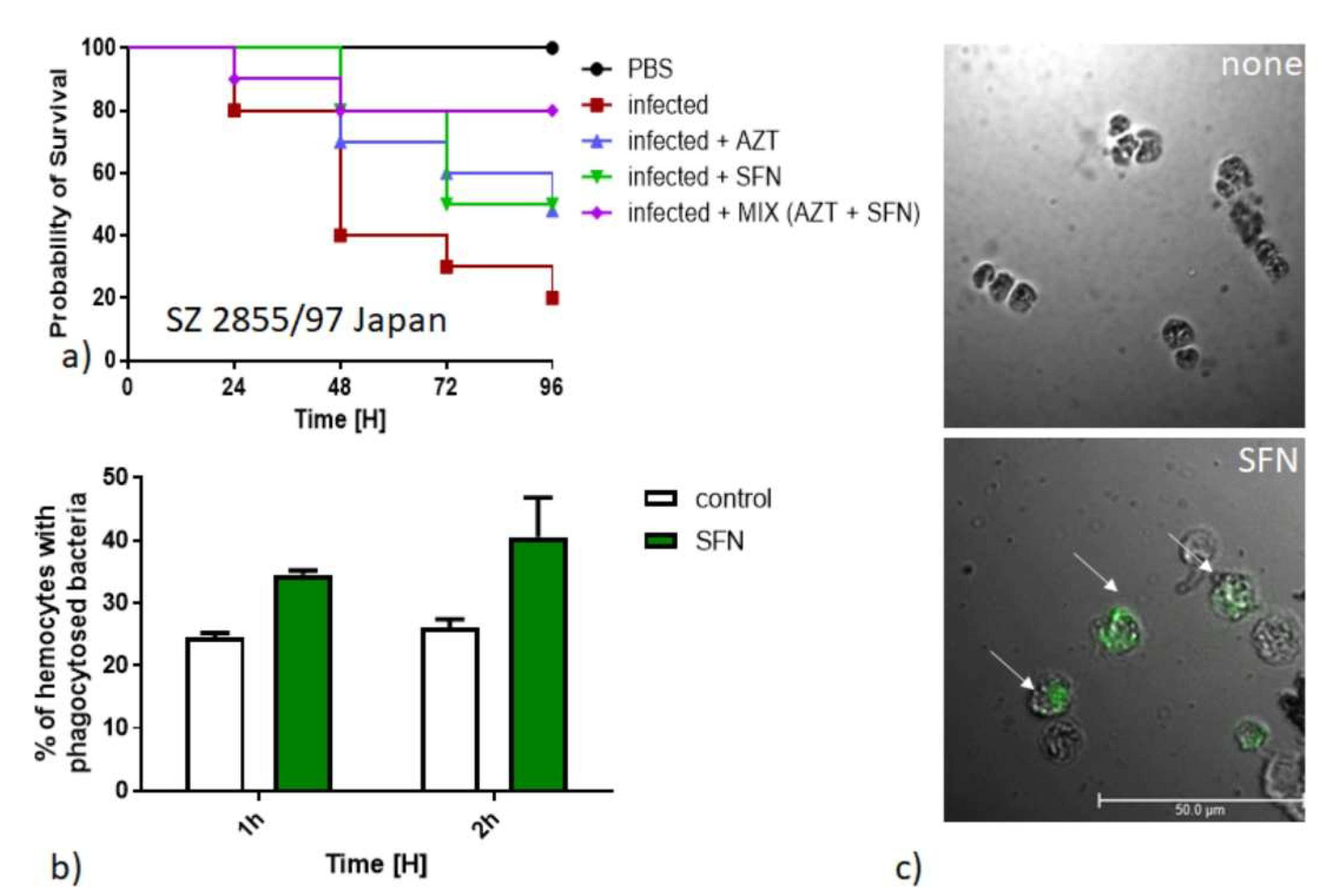 Nutrients 13 03967 g005