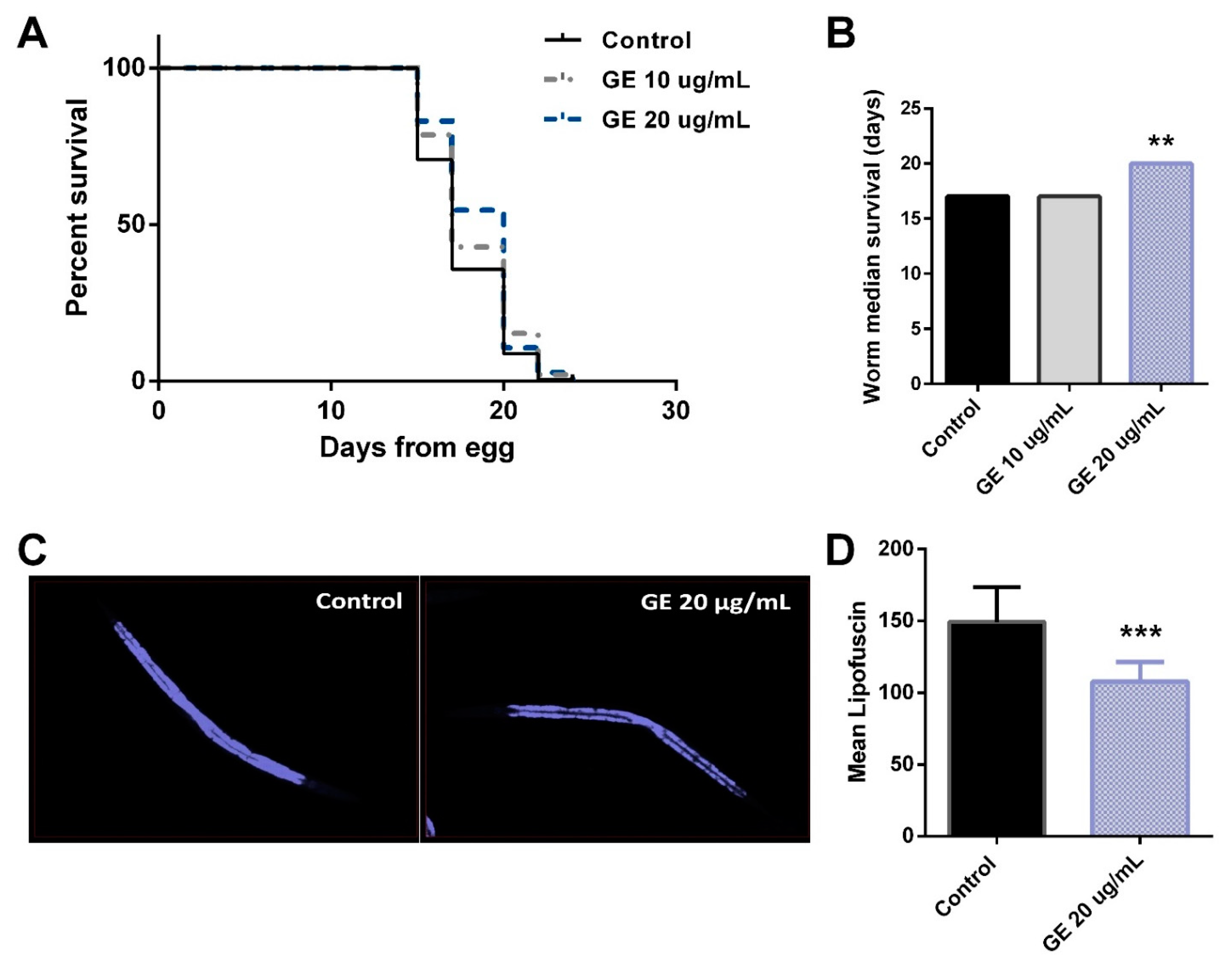 Nutrients 13 03968 g006 Nutrients 13 03968 g006