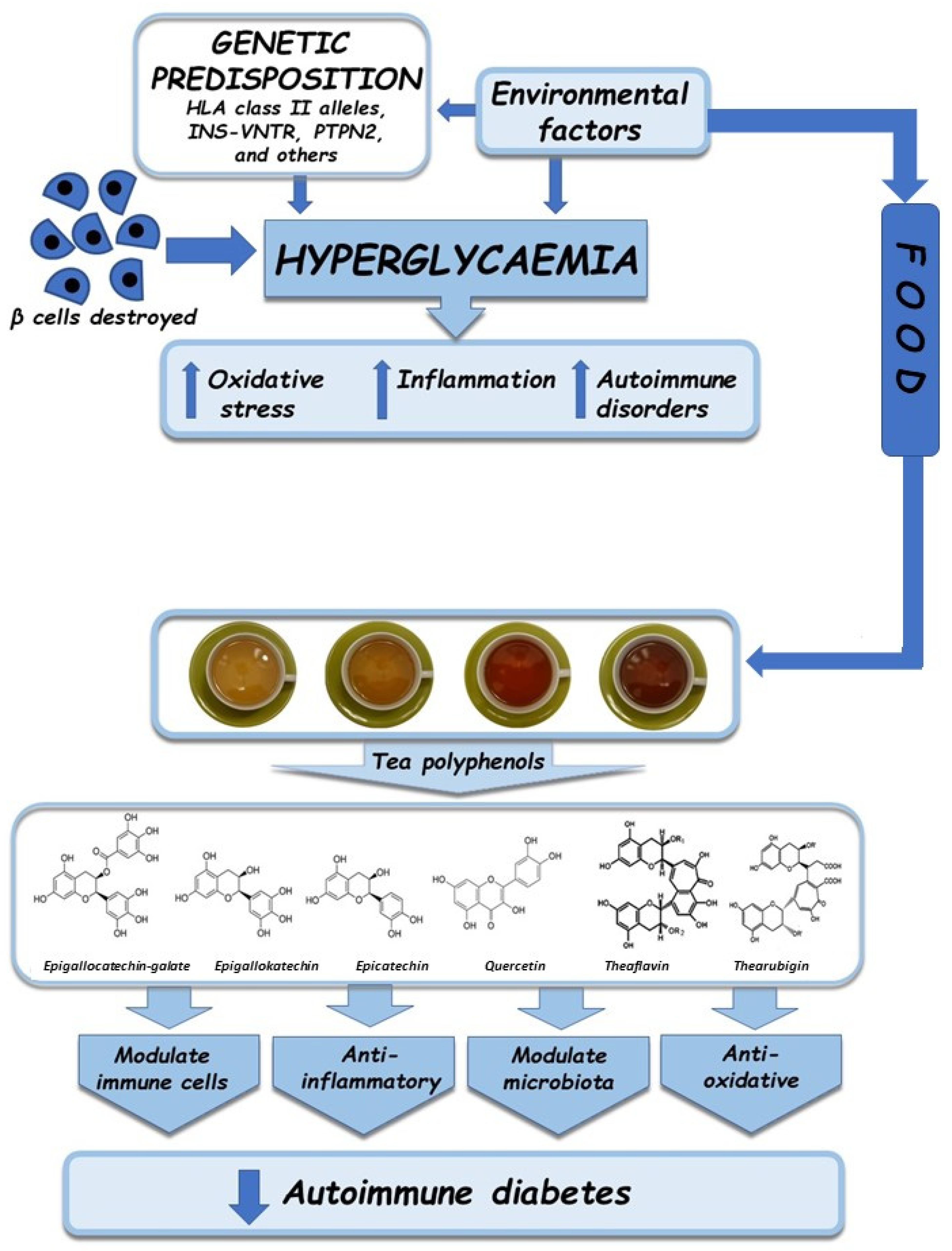 Nutrients 13 03972 g002