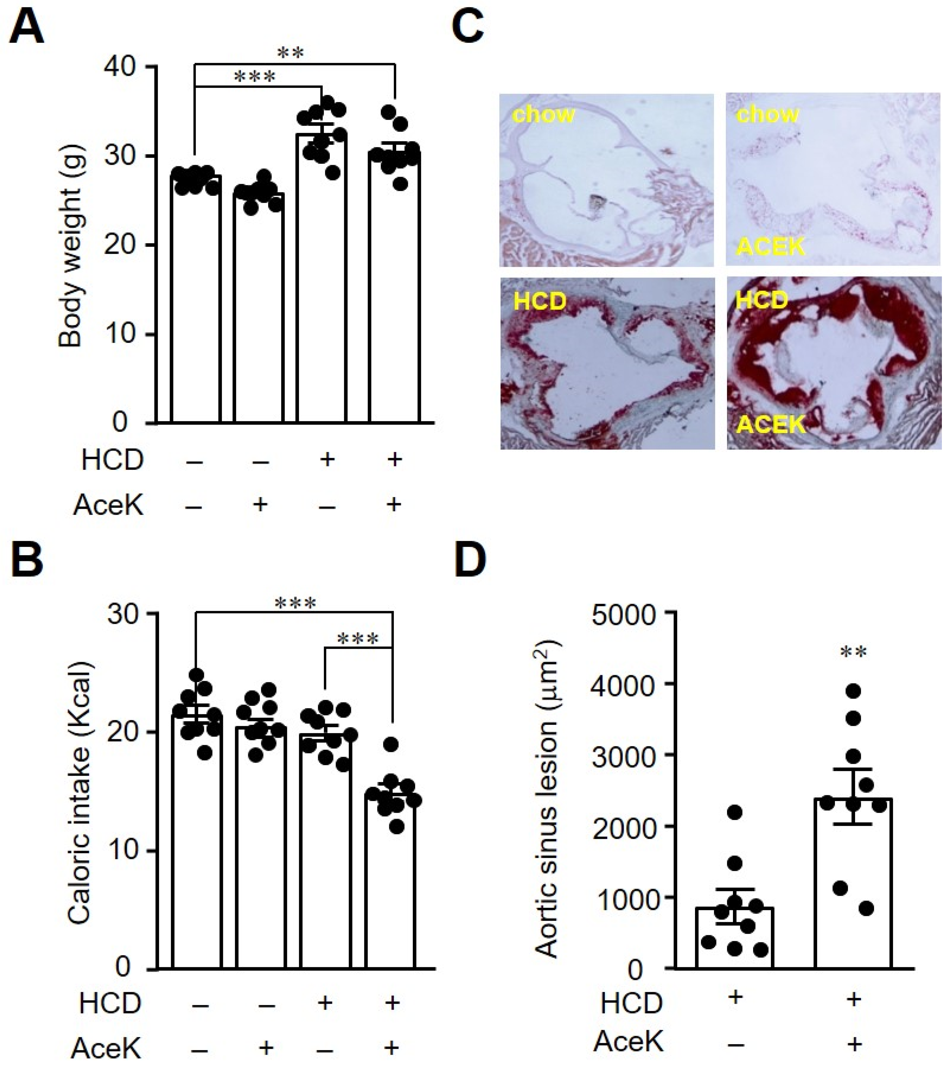 Nutrients 13 03984 g001