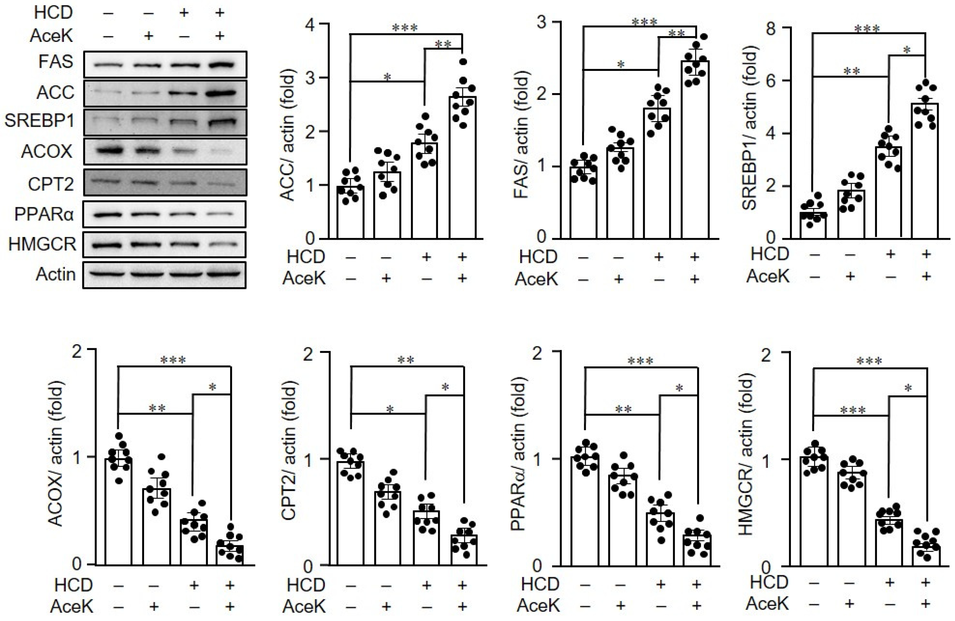 Nutrients 13 03984 g004