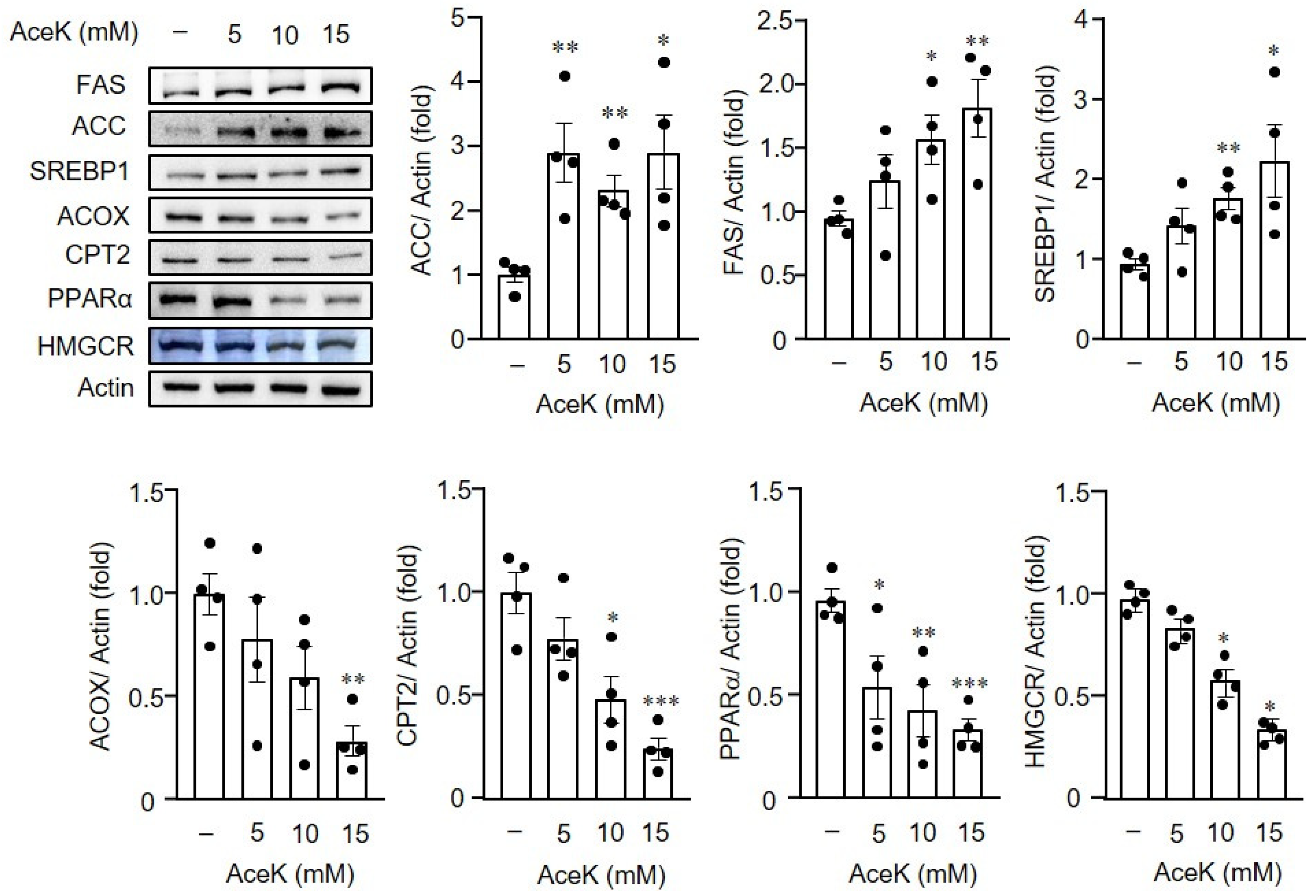 Nutrients 13 03984 g006