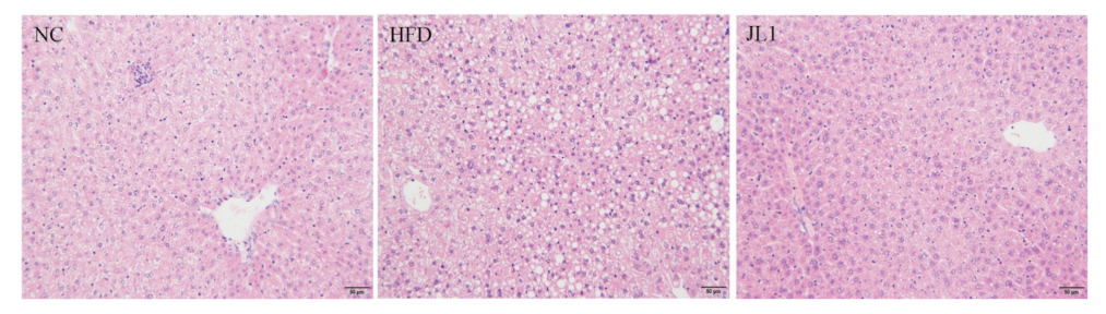 Nutrients 13 03989 g003