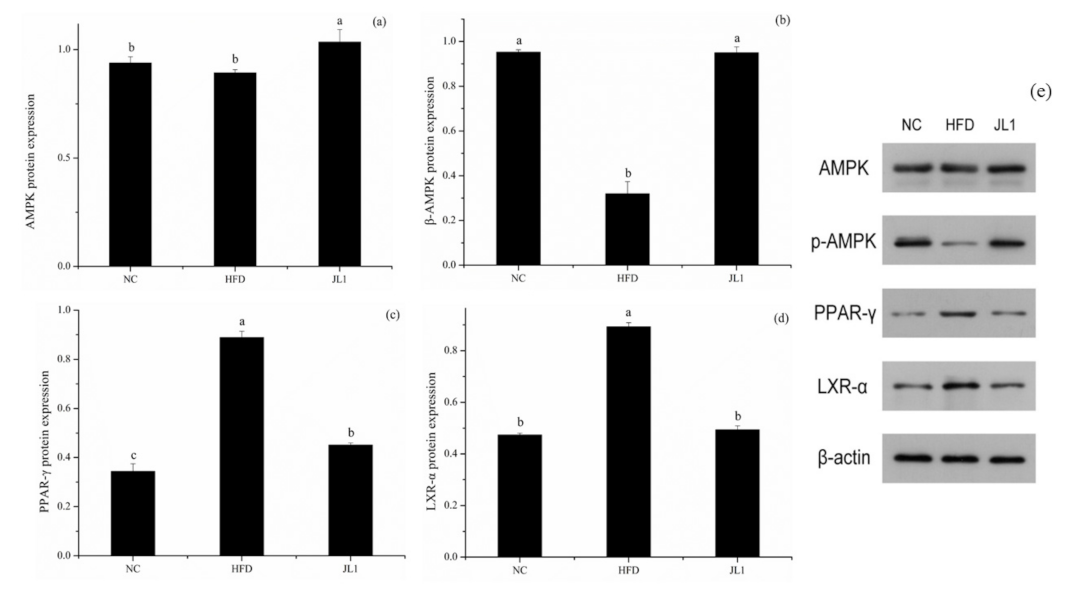 Nutrients 13 03989 g005