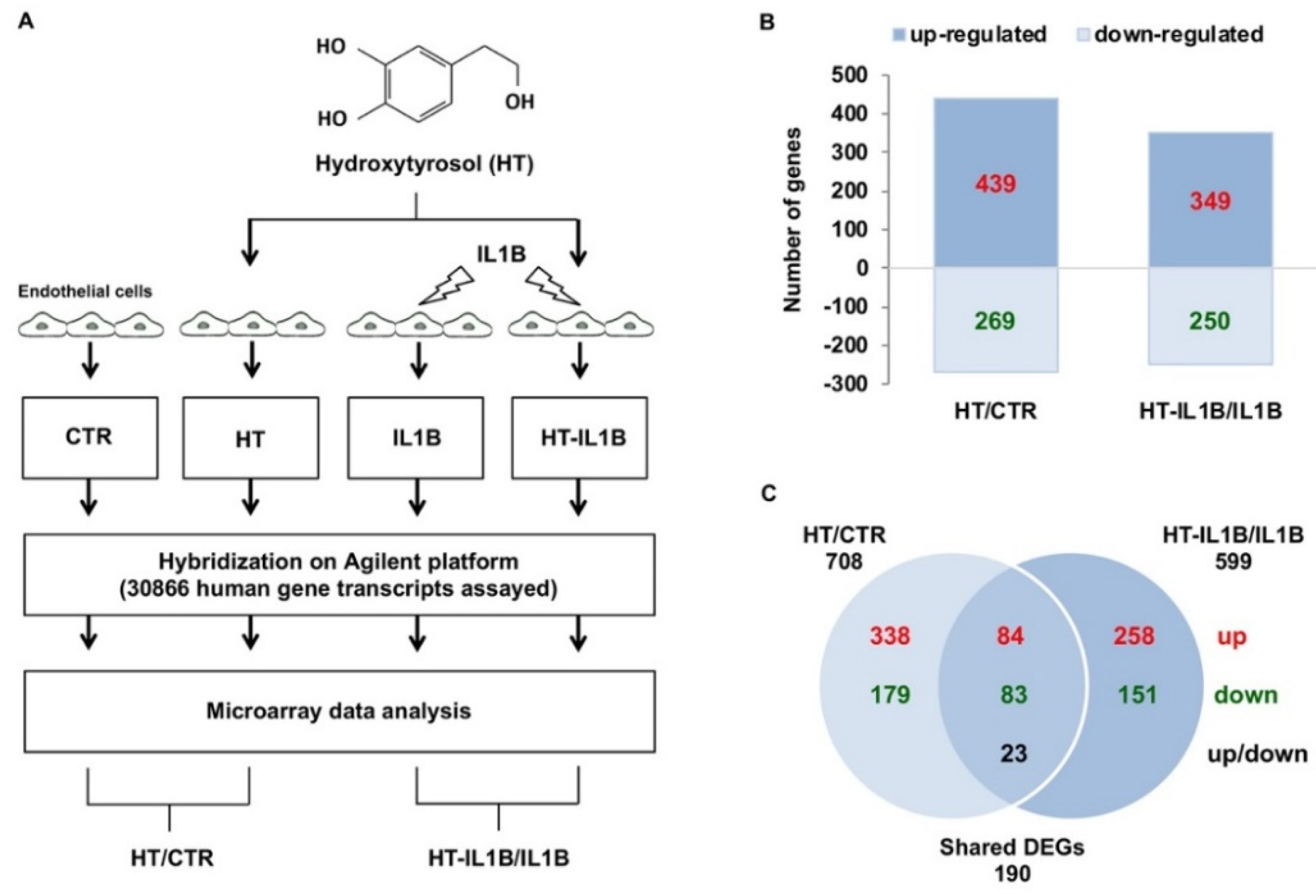 Nutrients 13 03990 g001 Nutrients 13 03990 g001