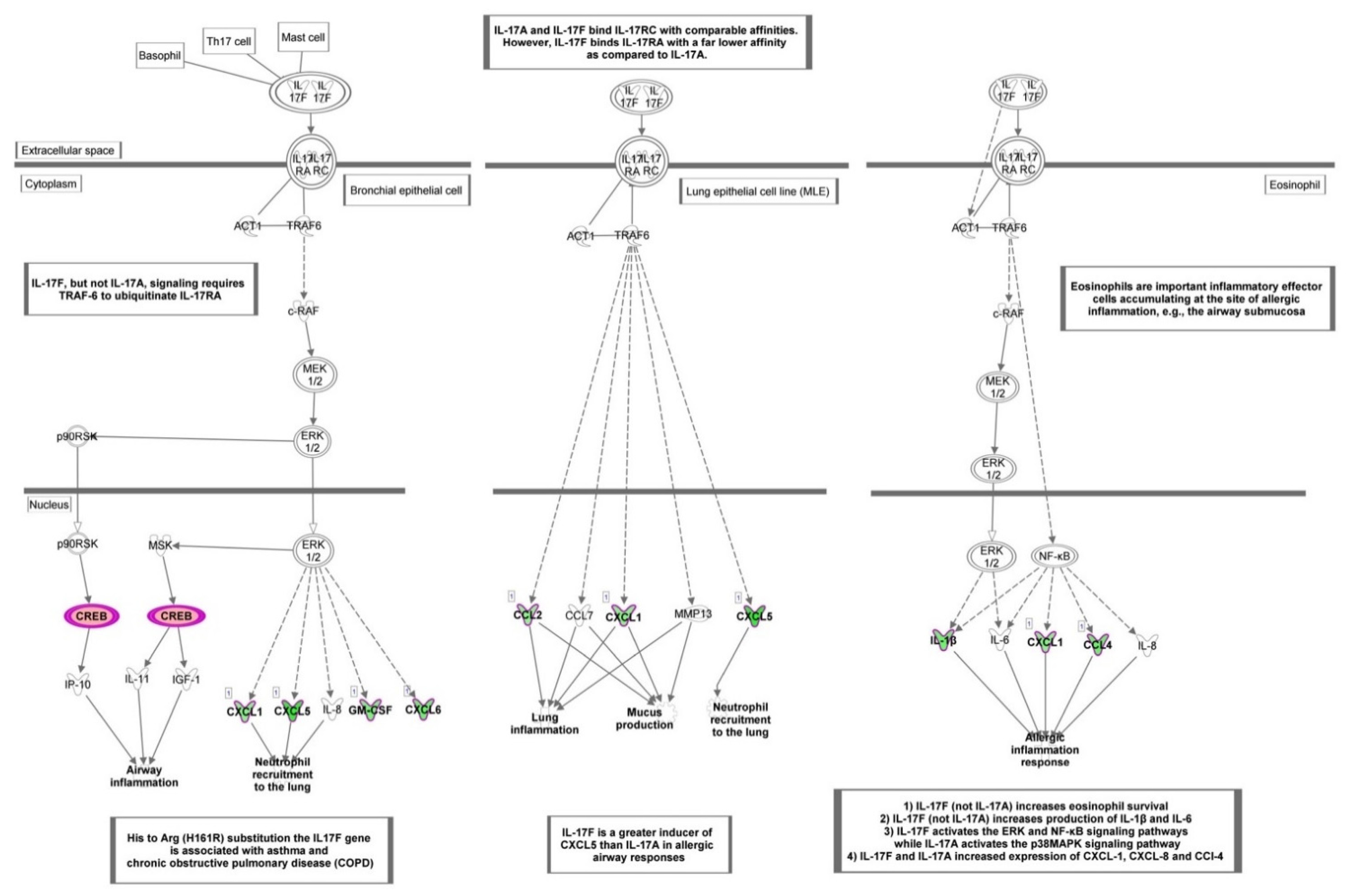Nutrients 13 03990 g005 Nutrients 13 03990 g005