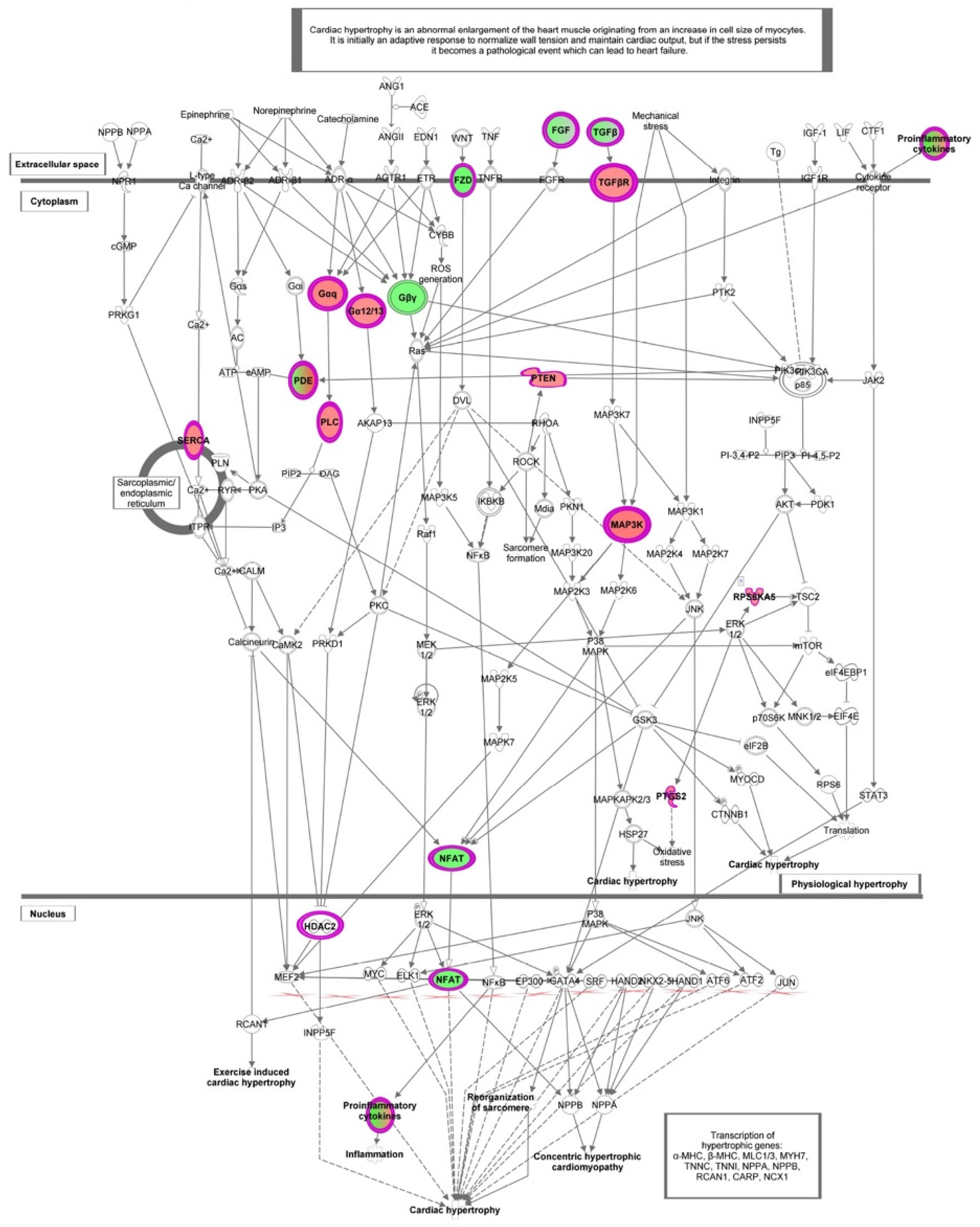 Nutrients 13 03990 g007 Nutrients 13 03990 g007