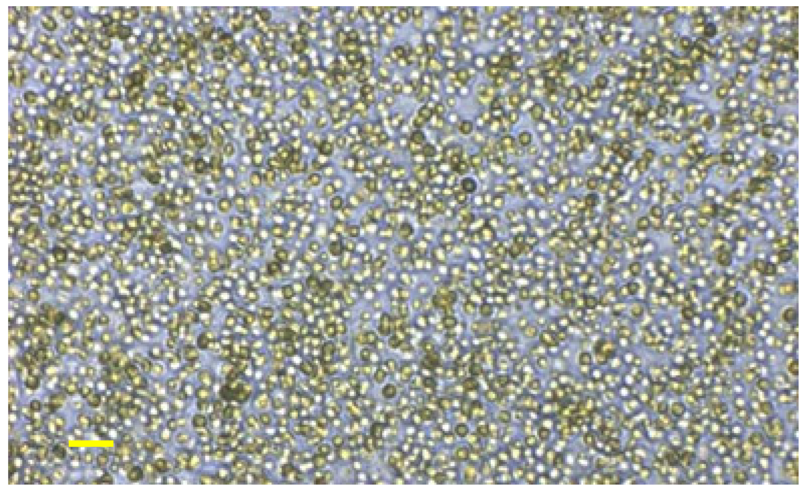 Nutrients 13 03991 g001 550