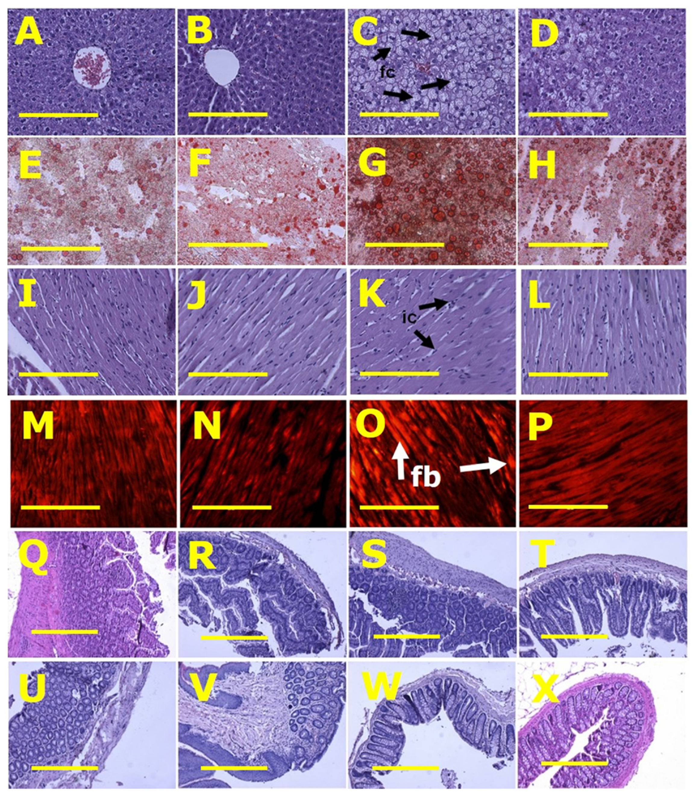 Nutrients 13 03991 g002 550
