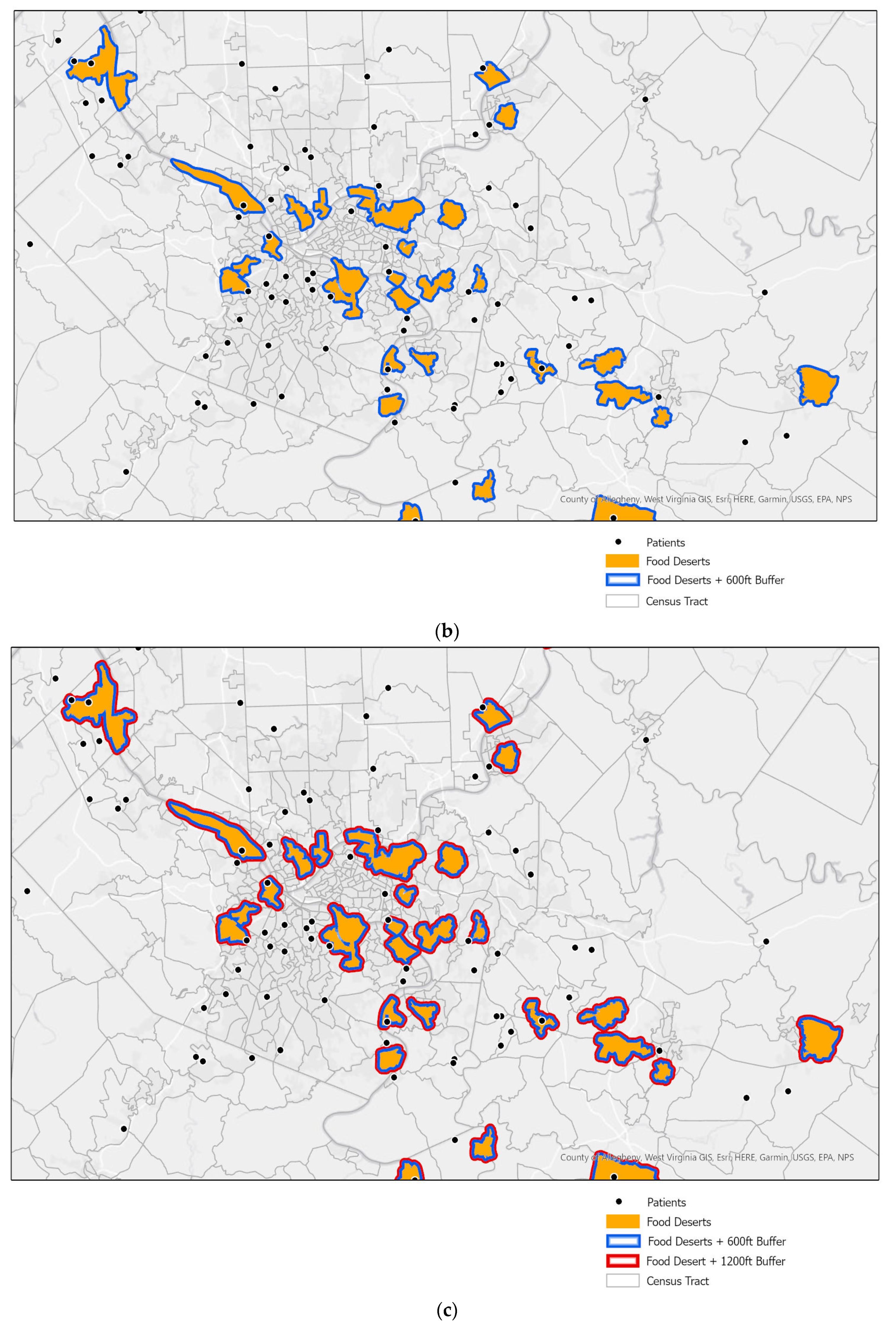 Nutrients 13 03996 g001b
