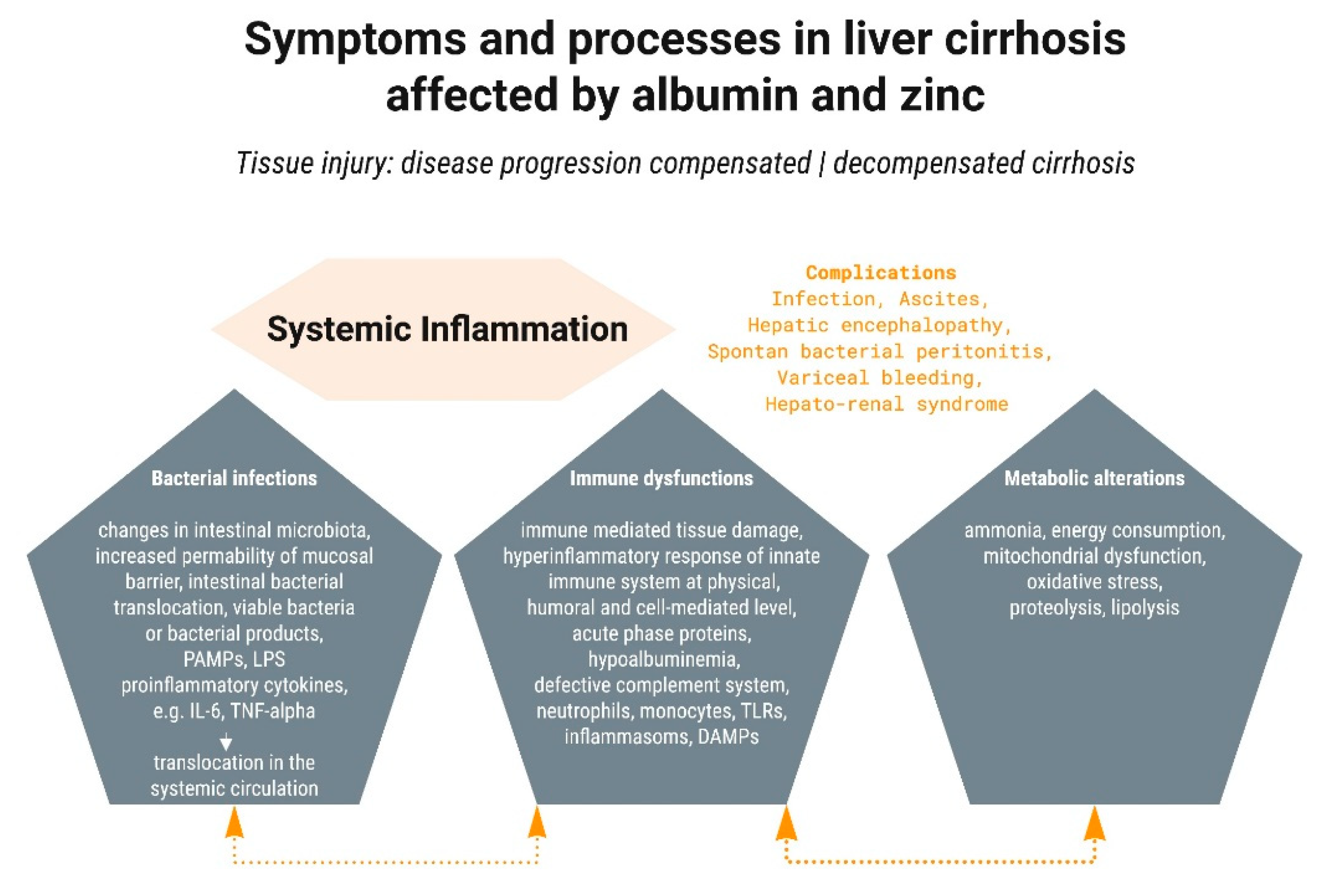 Nutrients 13 04011 g003