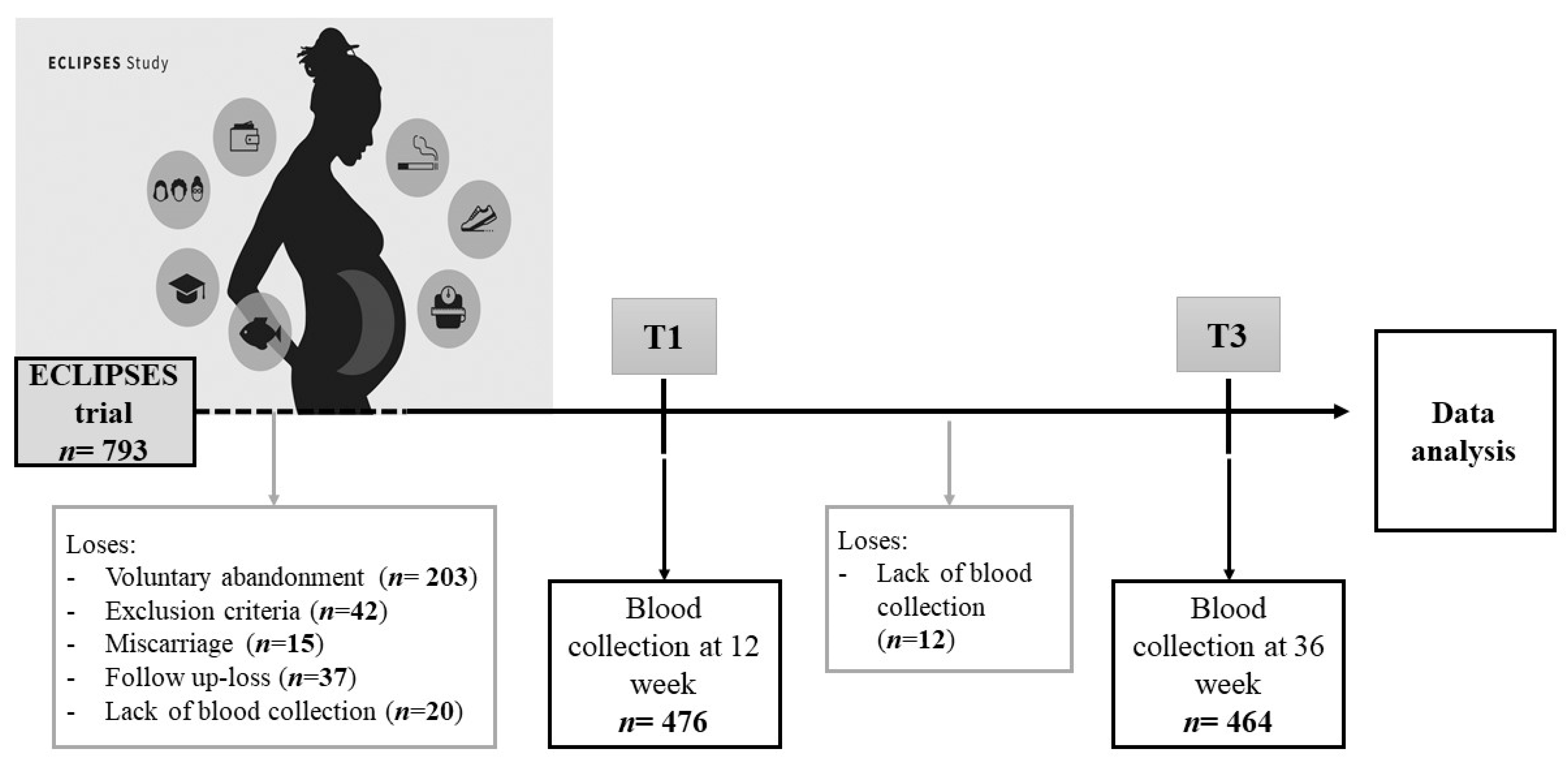 Nutrients 13 04037 g001