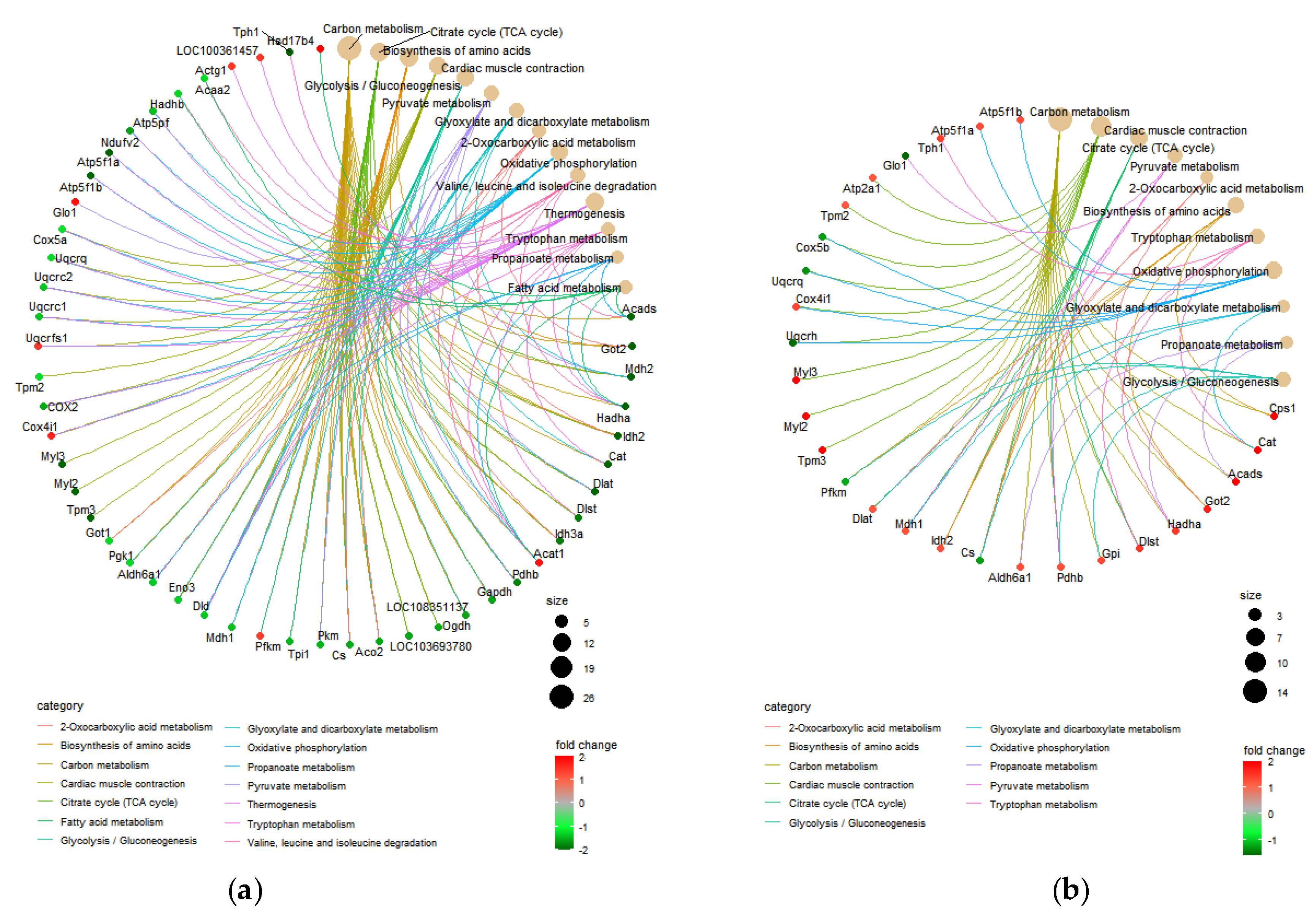 Nutrients 13 04041 g004
