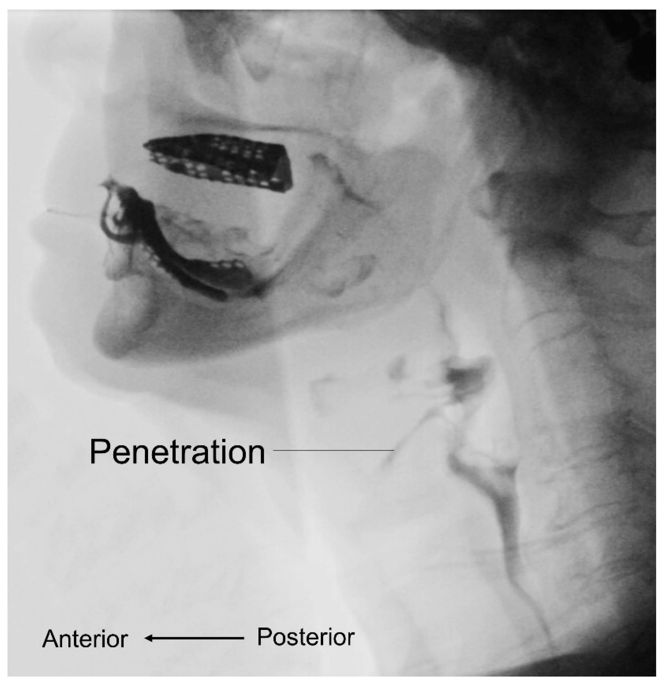 Nutrients 13 04043 g003