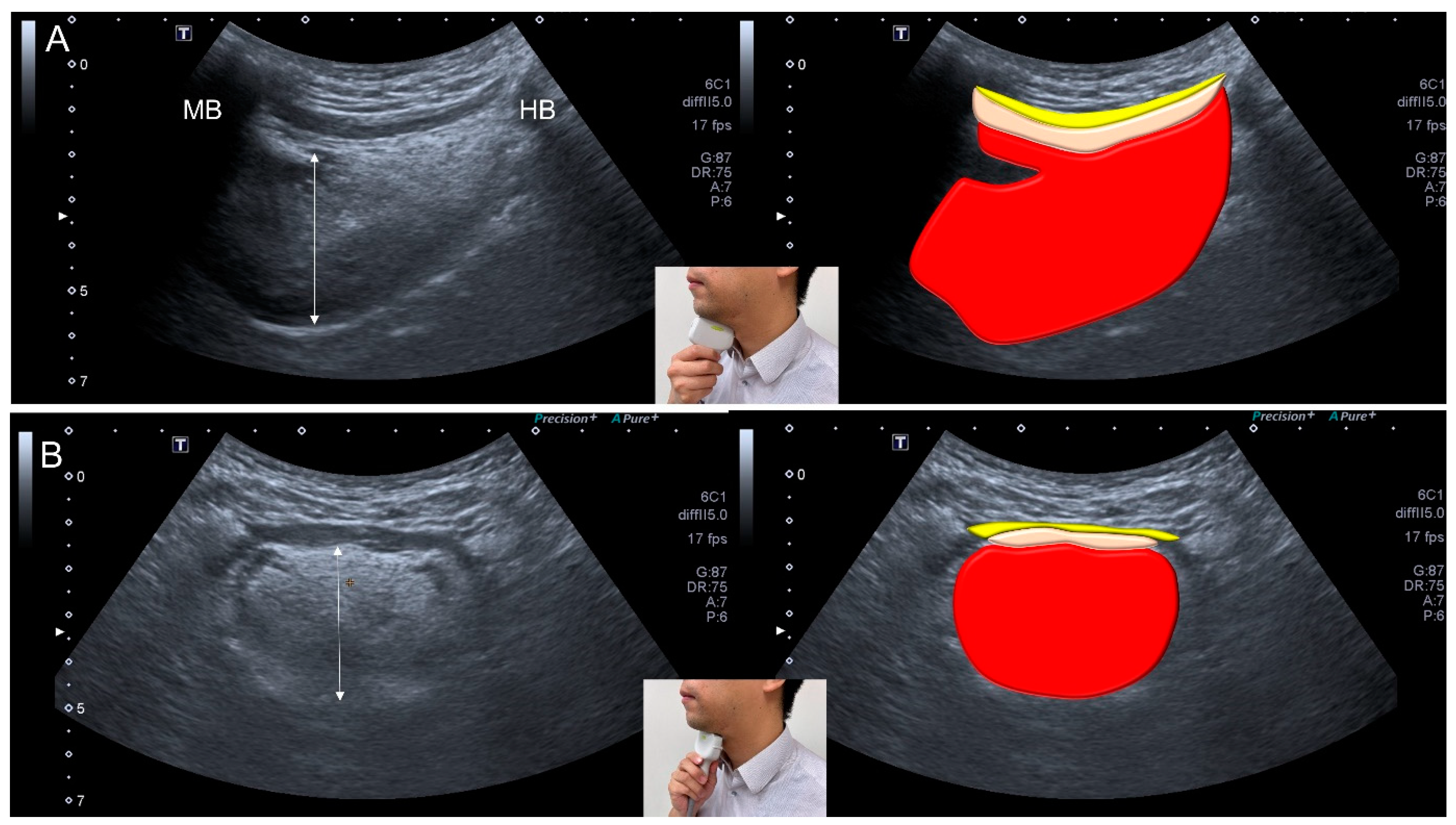 Nutrients 13 04043 g006