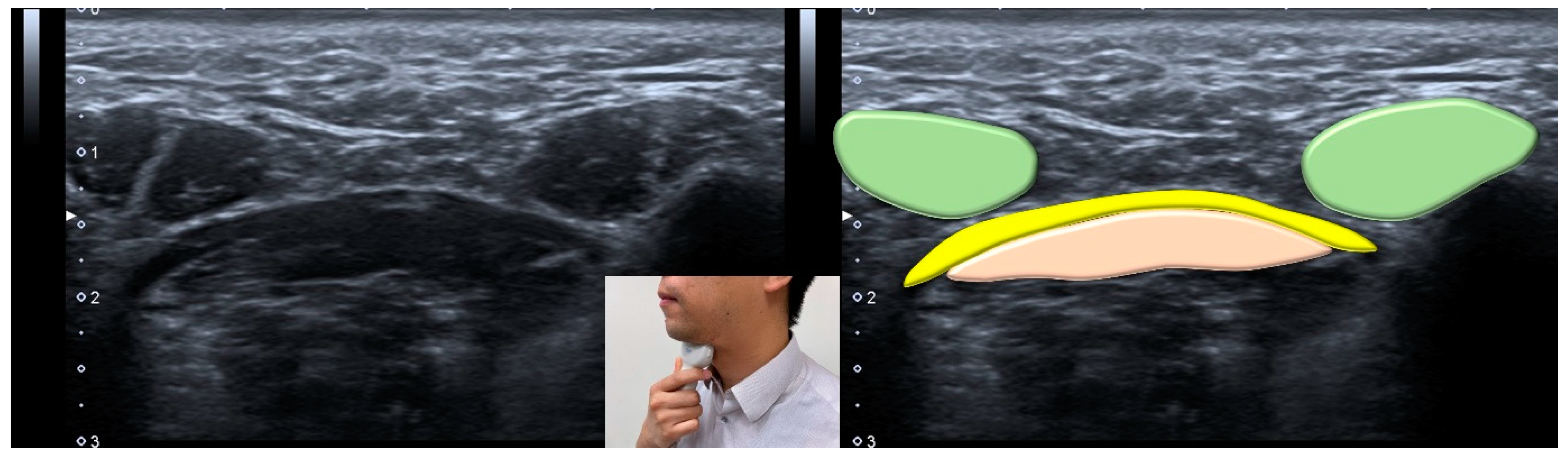 Nutrients 13 04043 g007