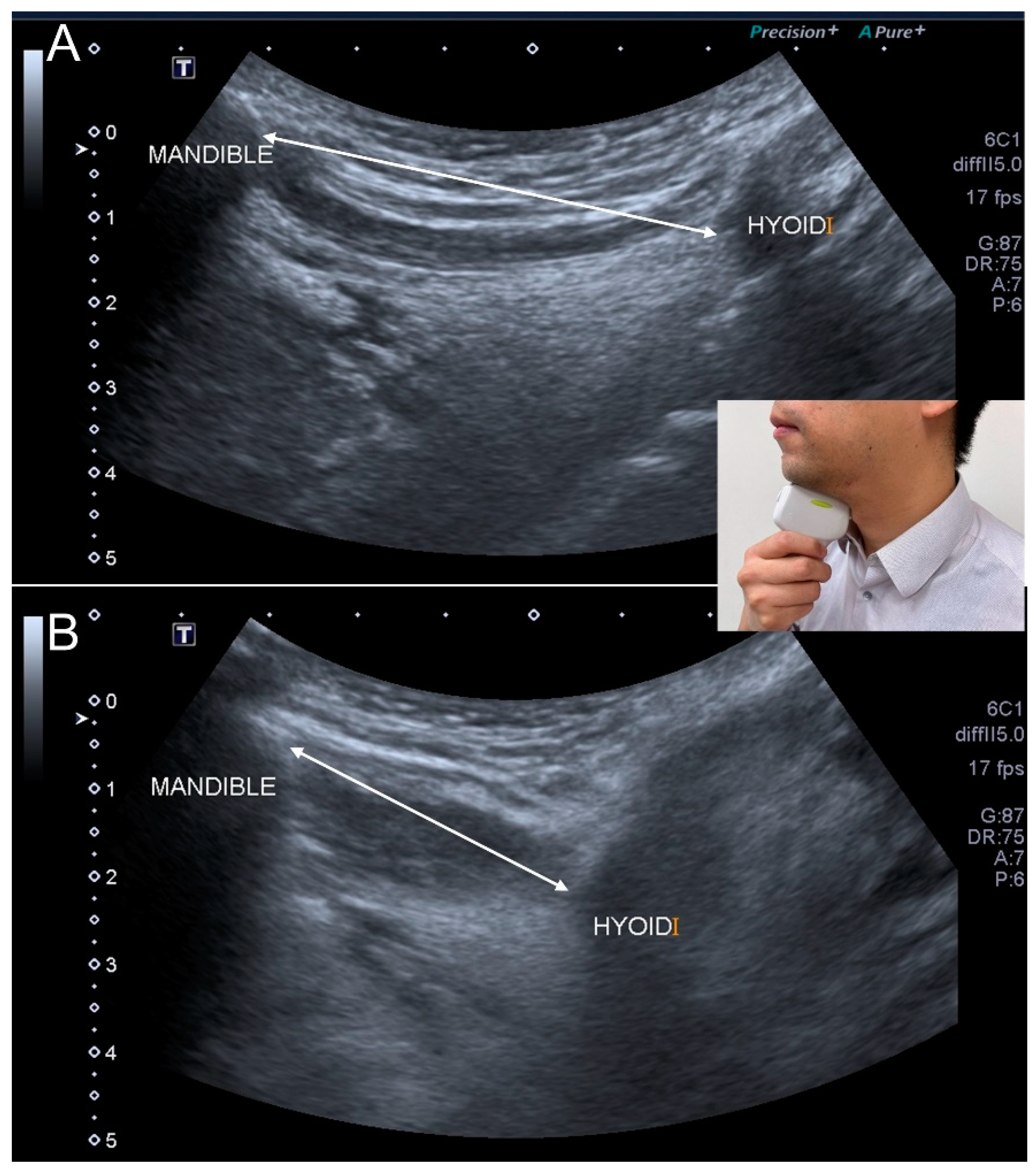 Nutrients 13 04043 g008