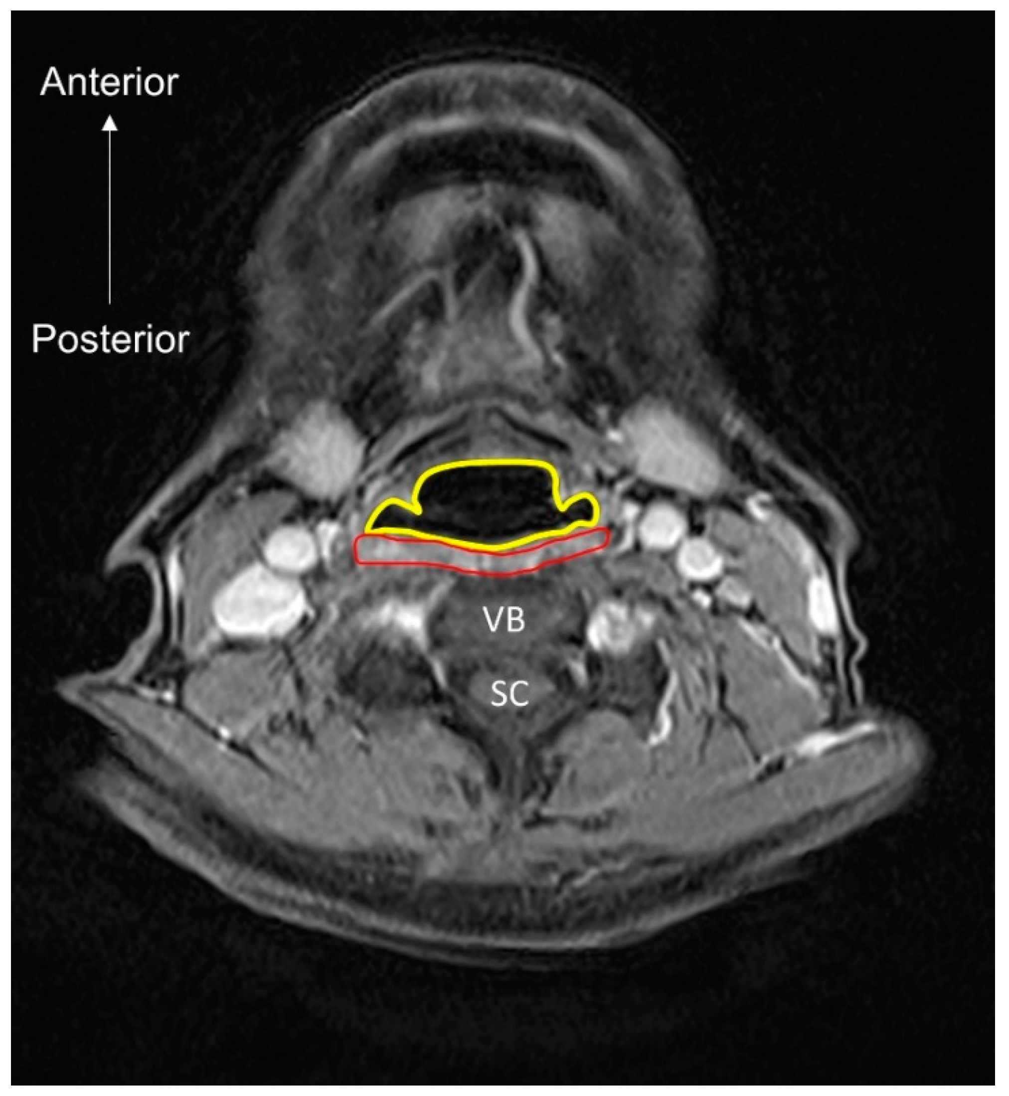 Nutrients 13 04043 g009