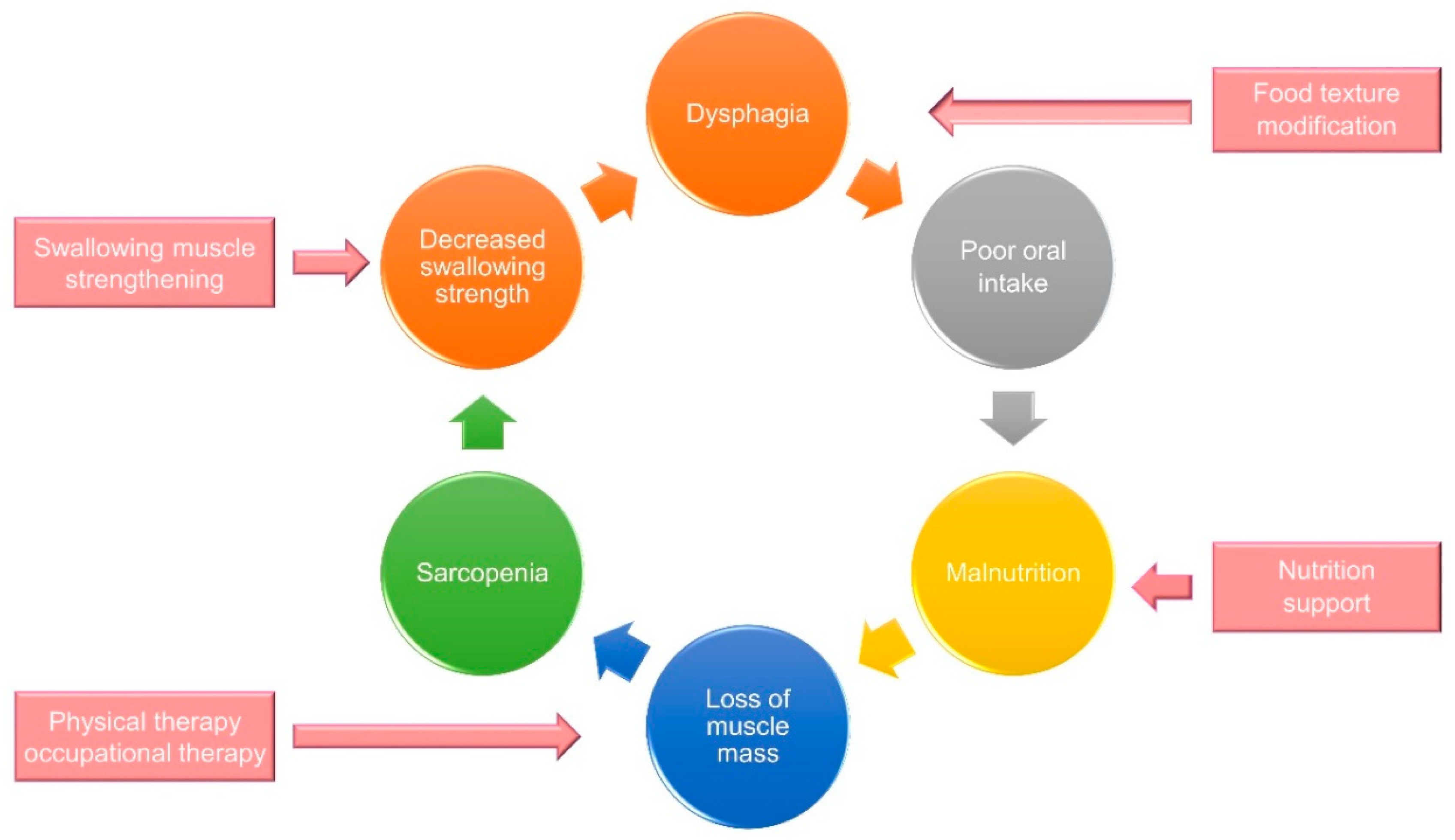 Nutrients 13 04043 g010