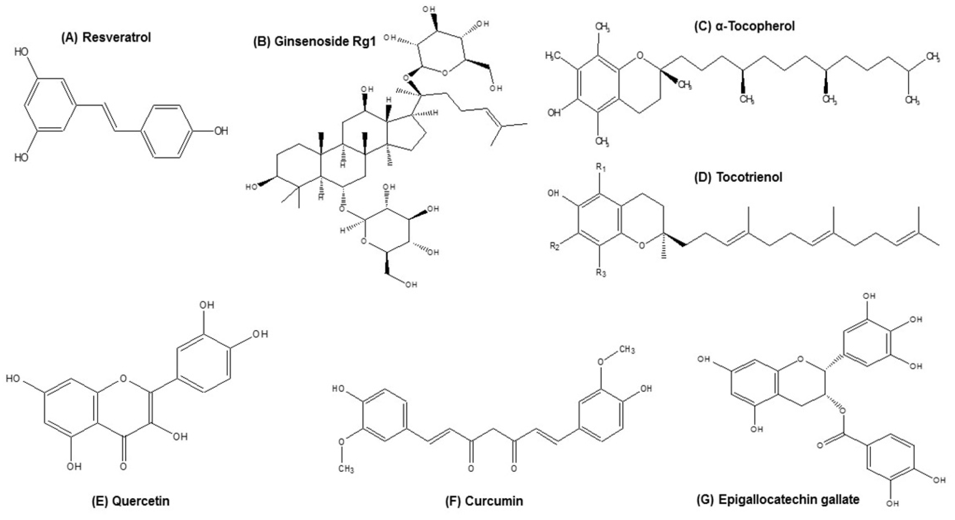 Nutrients 13 04058 g001