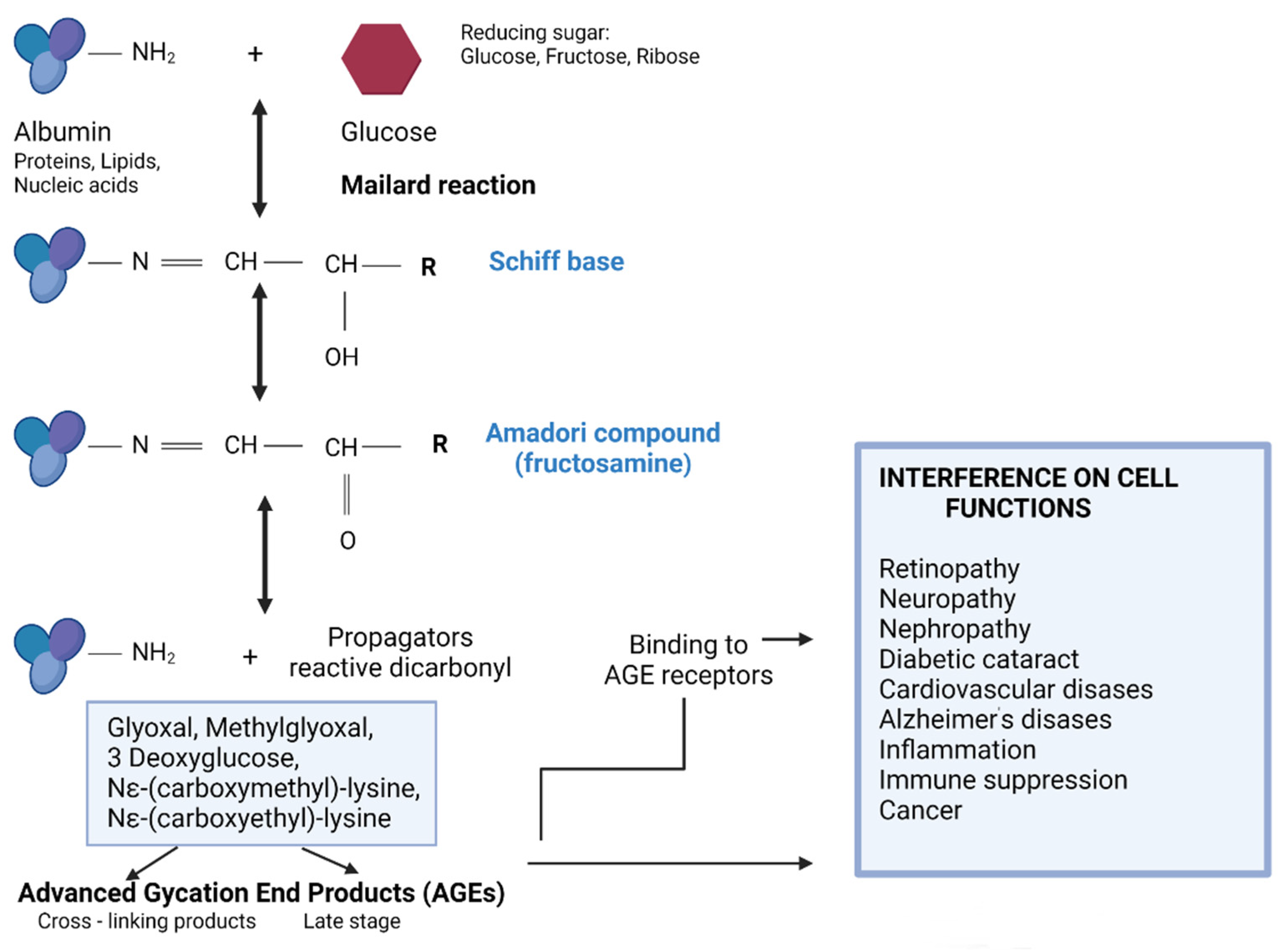 Nutrients 13 04066 g001 550