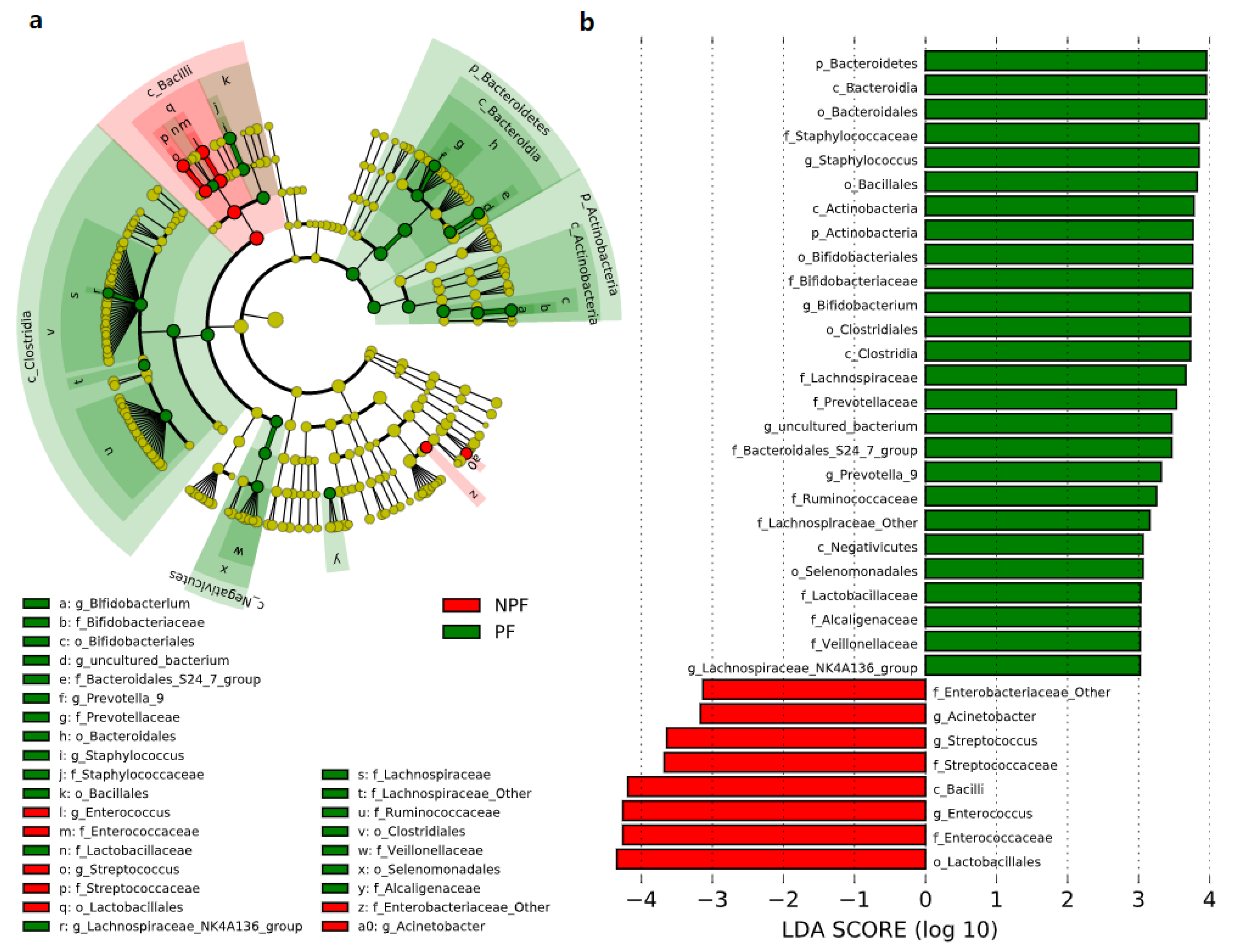 Nutrients 13 04068 g004