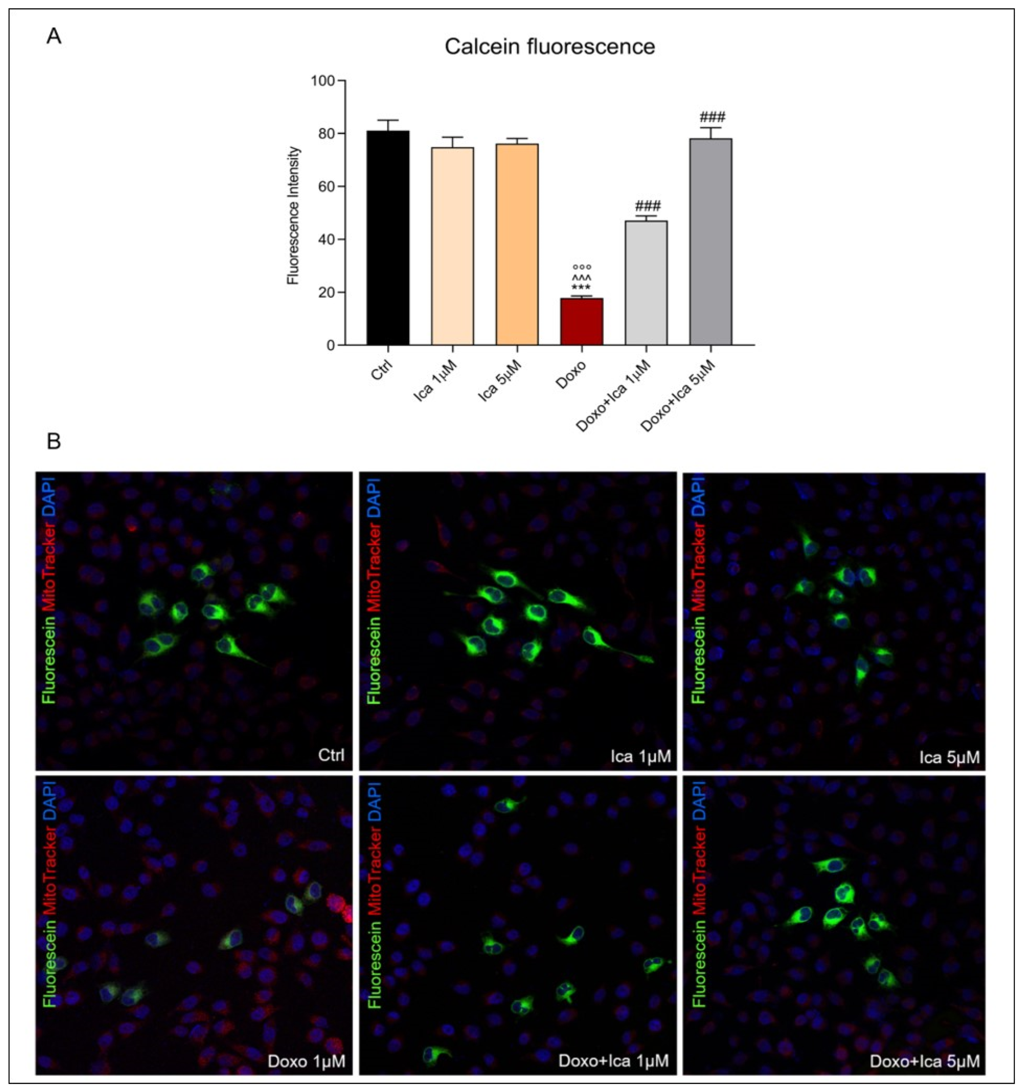 Nutrients 13 04070 g005