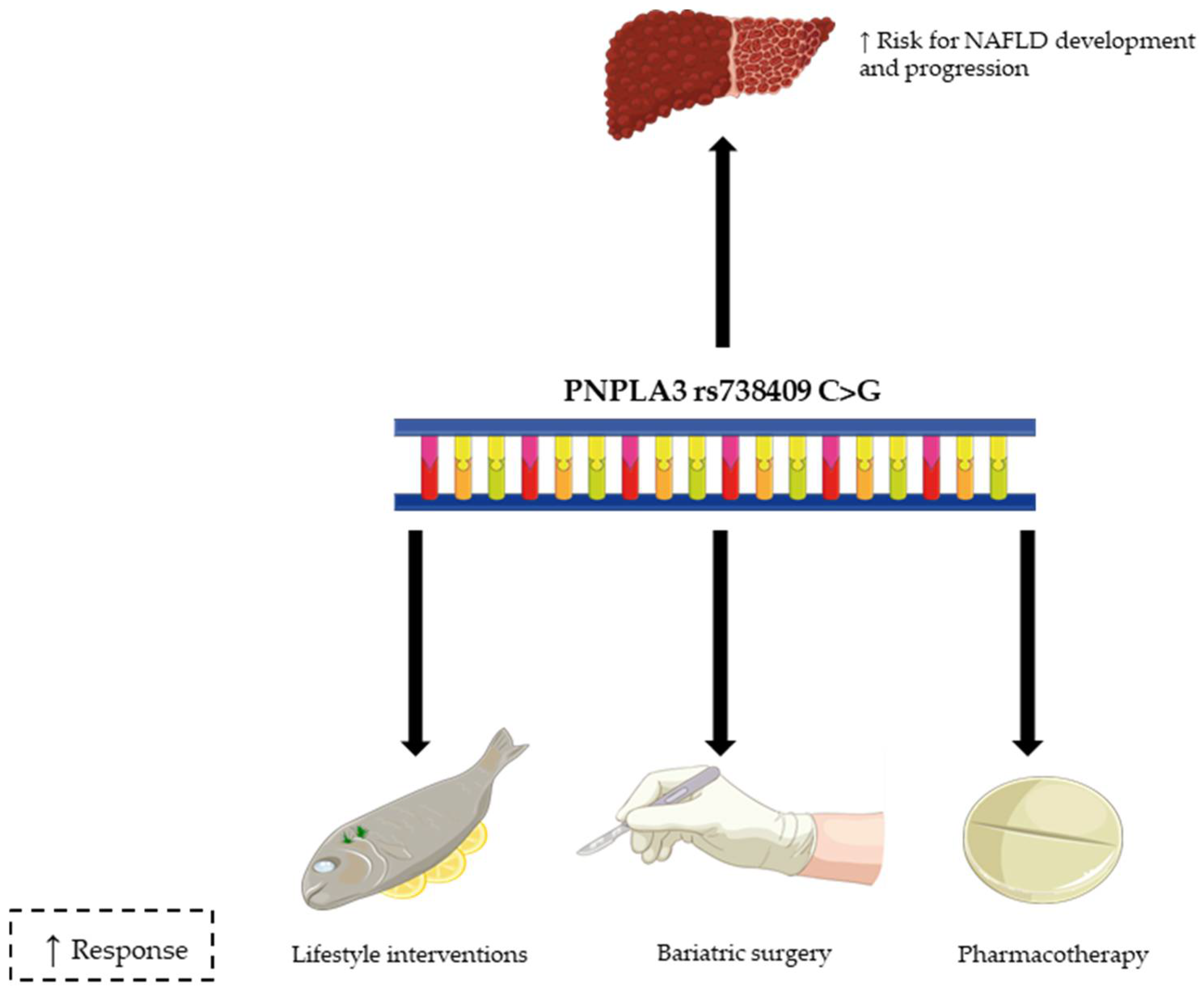 Nutrients 13 04077 g001