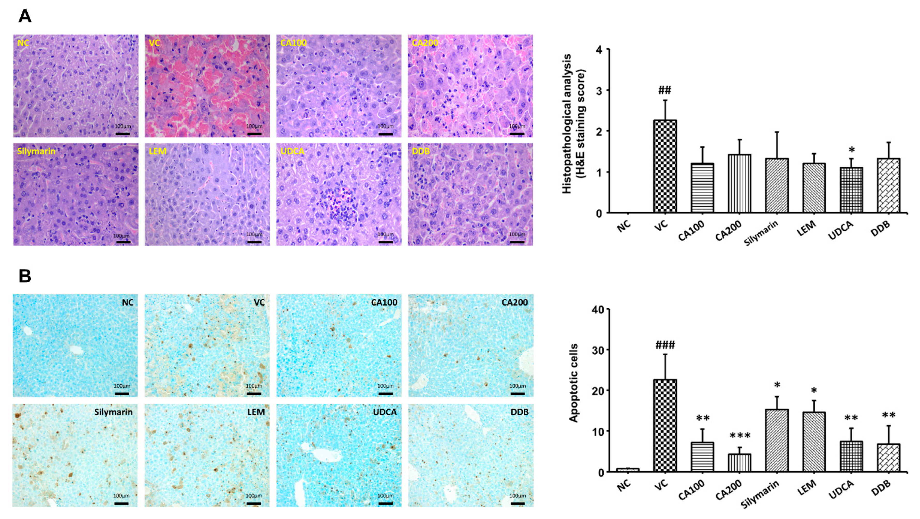 Nutrients 13 04090 g005 Nutrients 13 04090 g005