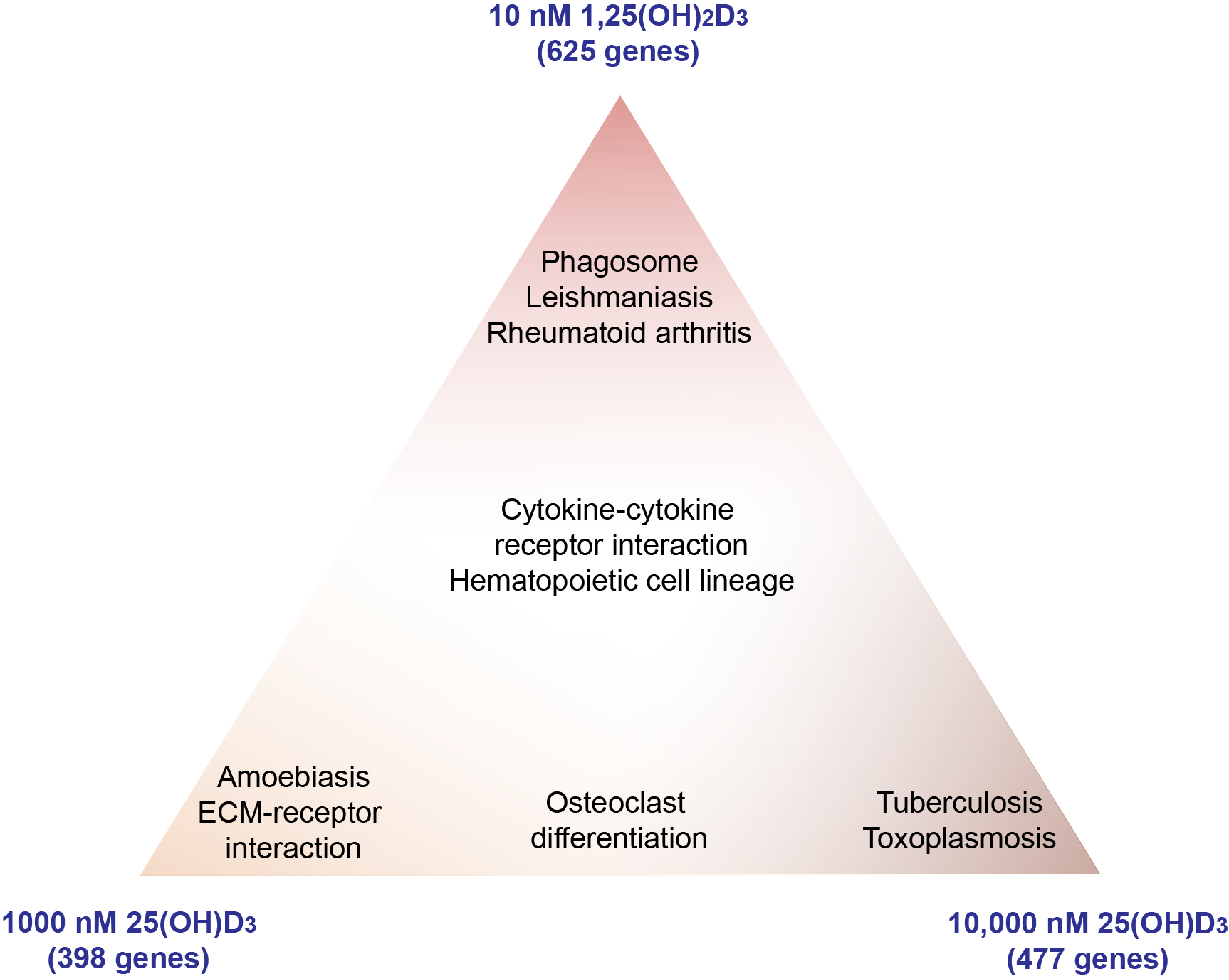 Nutrients 13 04100 g003