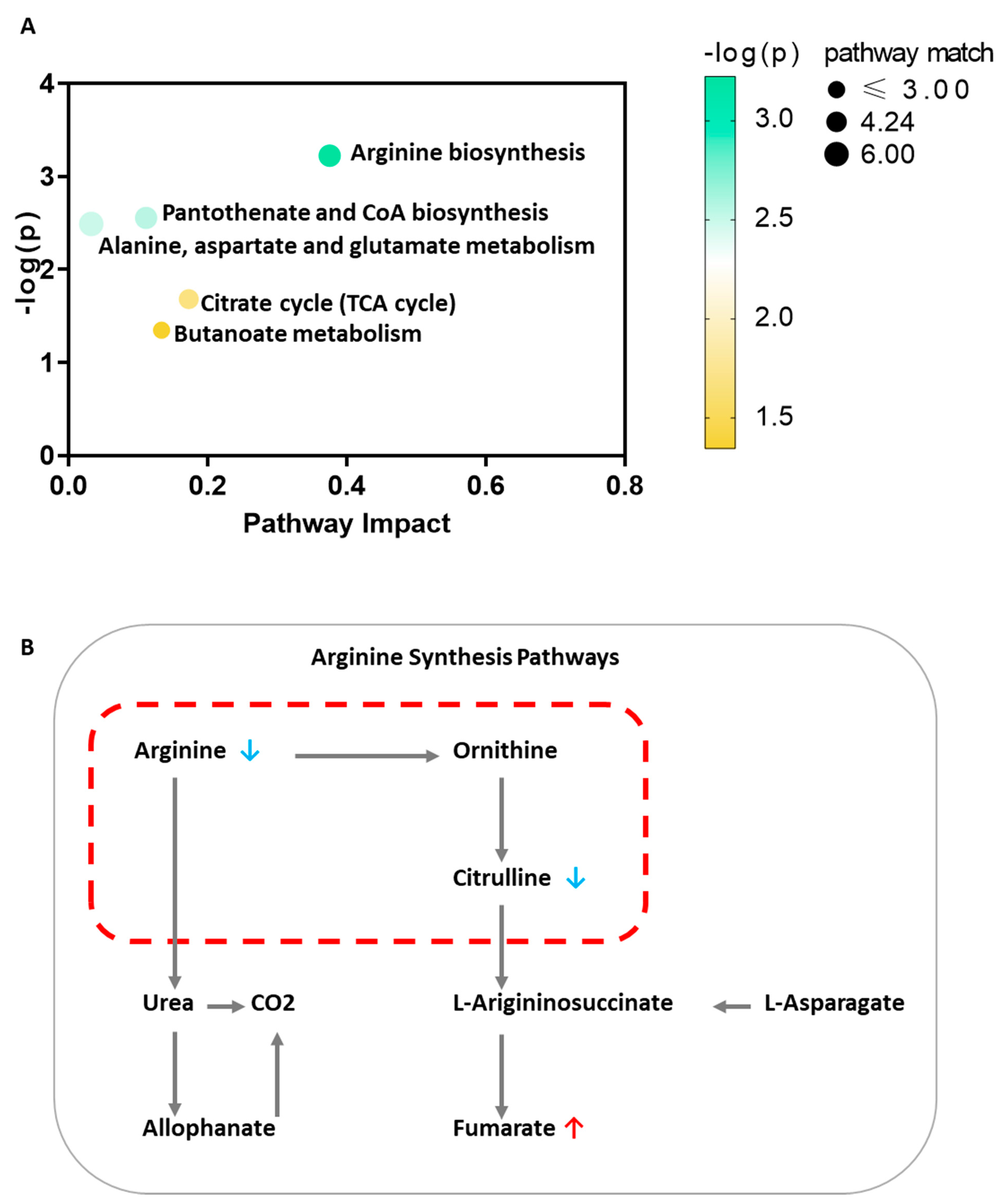 Nutrients 13 04116 g003