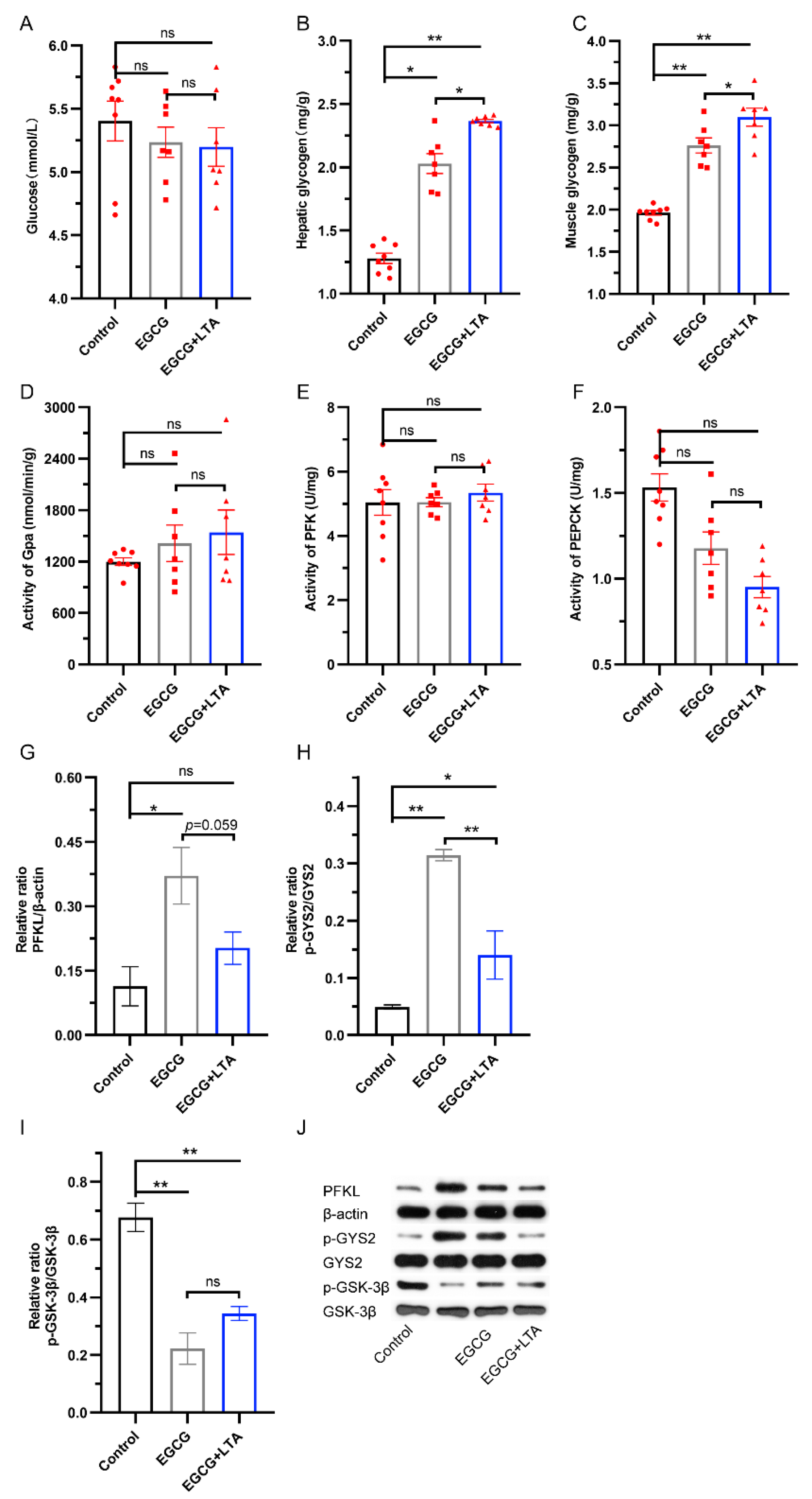 Nutrients 13 04120 g002
