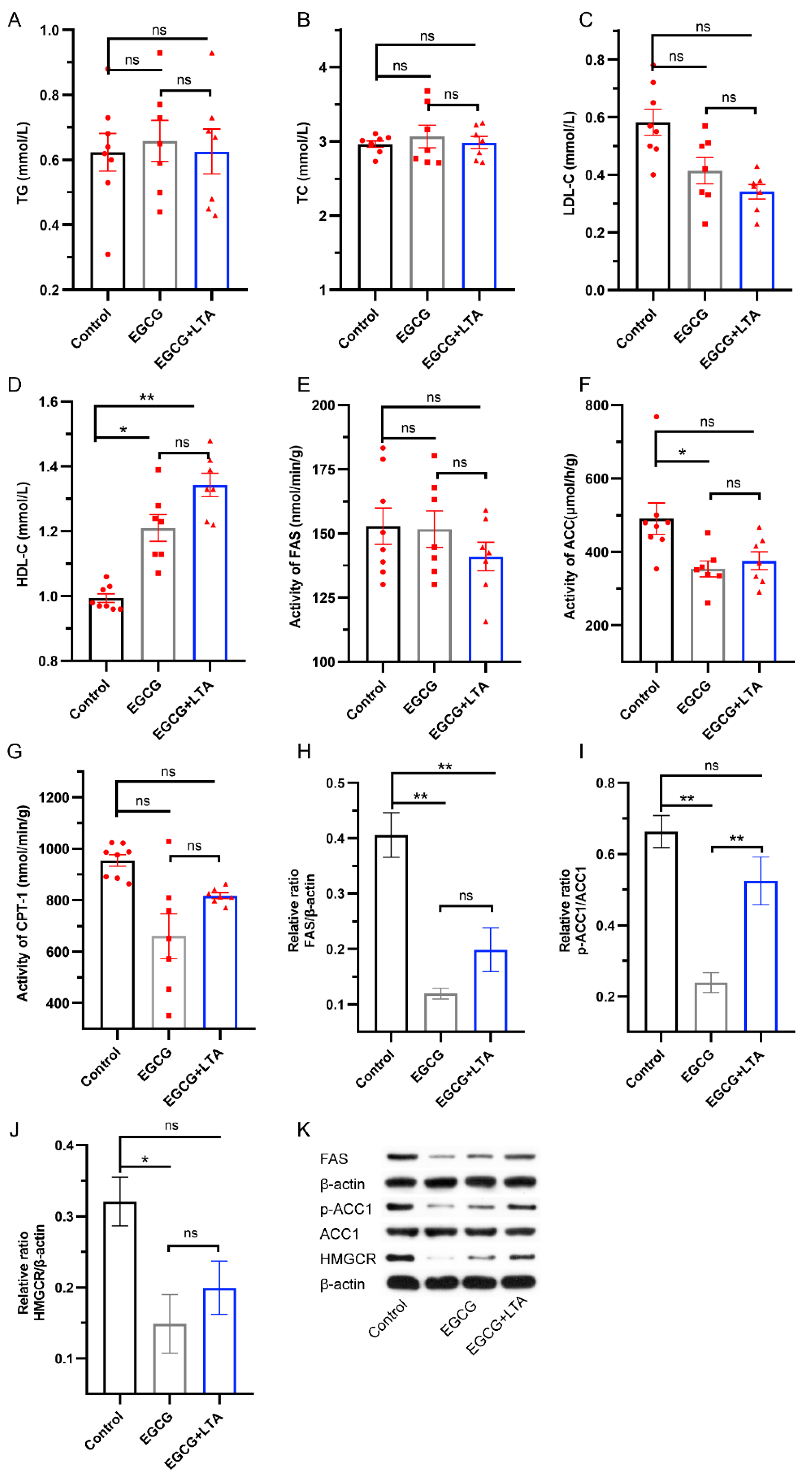 Nutrients 13 04120 g003