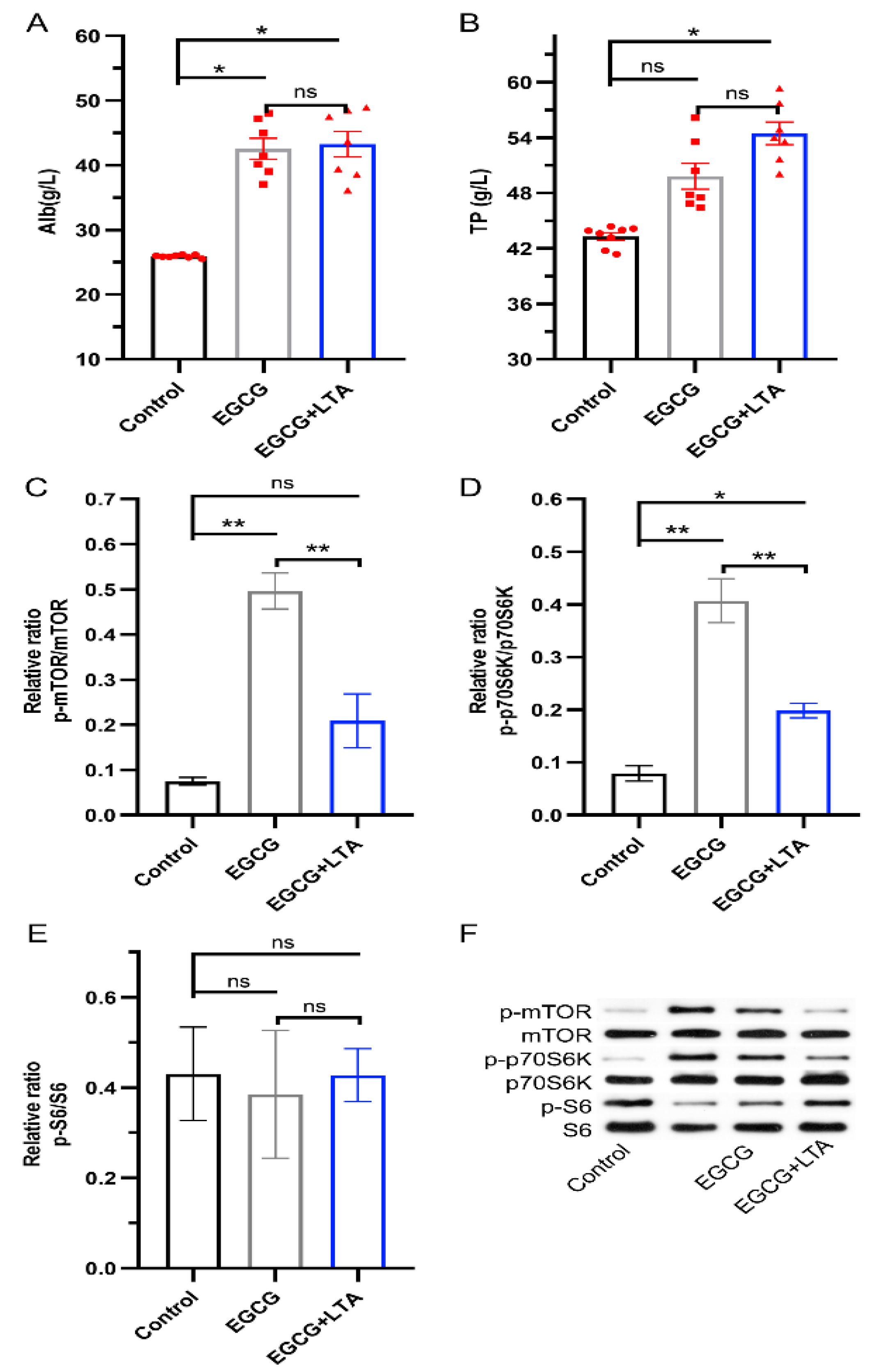 Nutrients 13 04120 g004