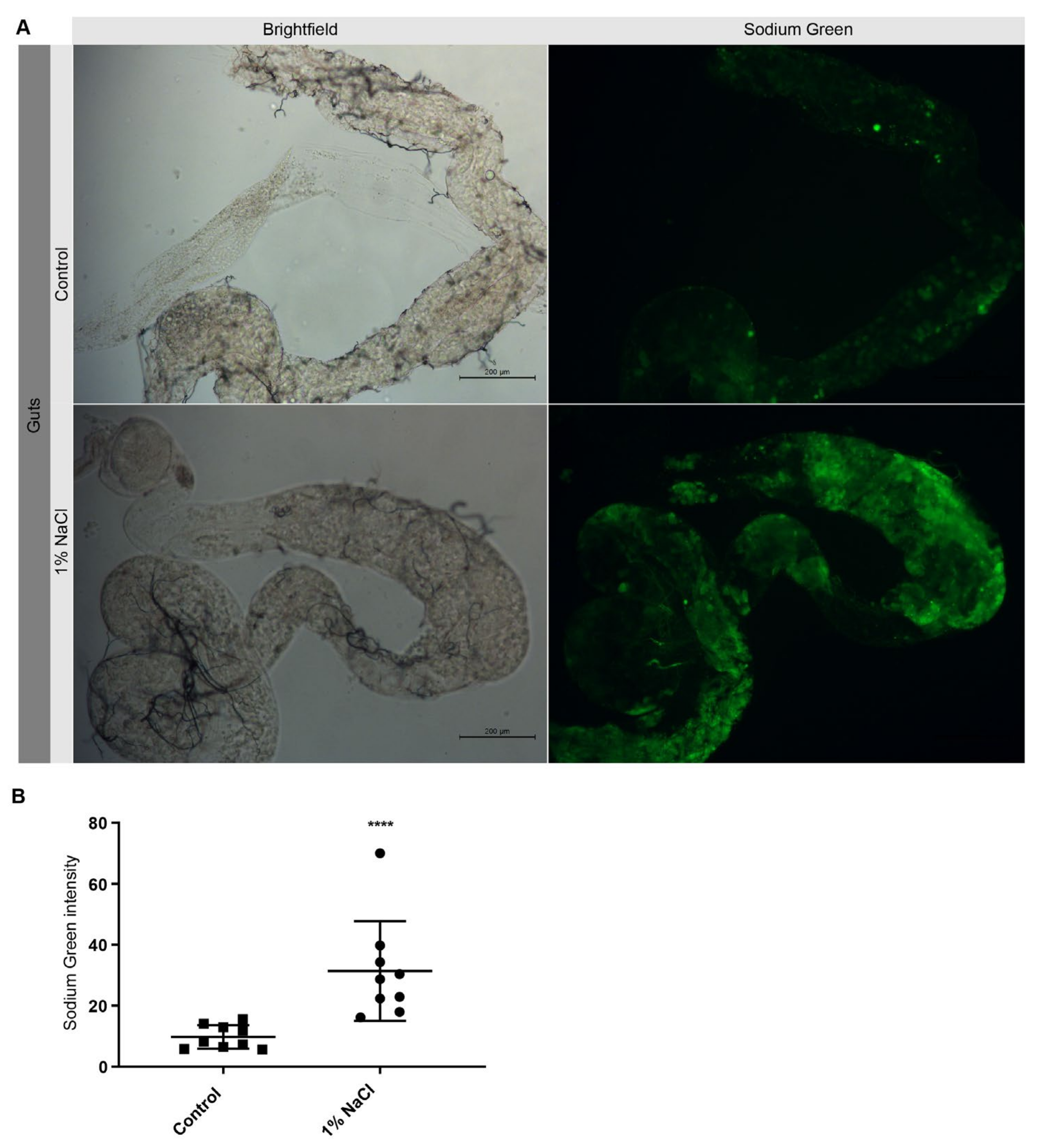 Nutrients 13 04123 g001