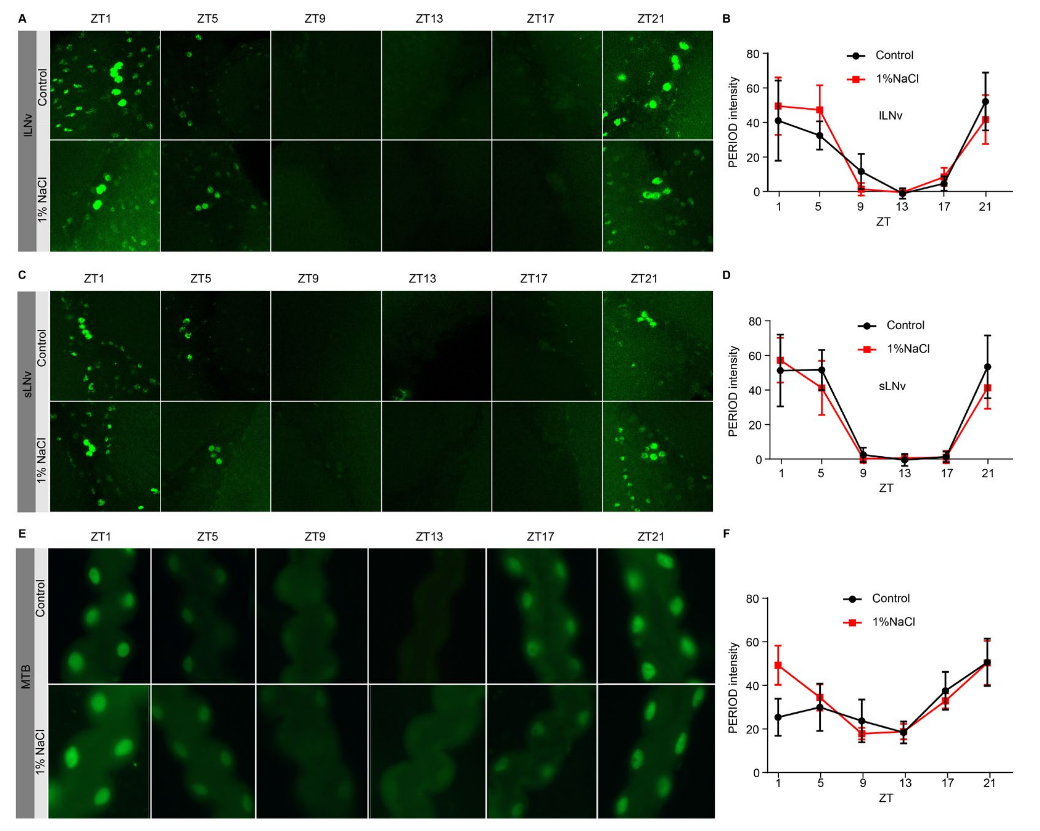 Nutrients 13 04123 g003