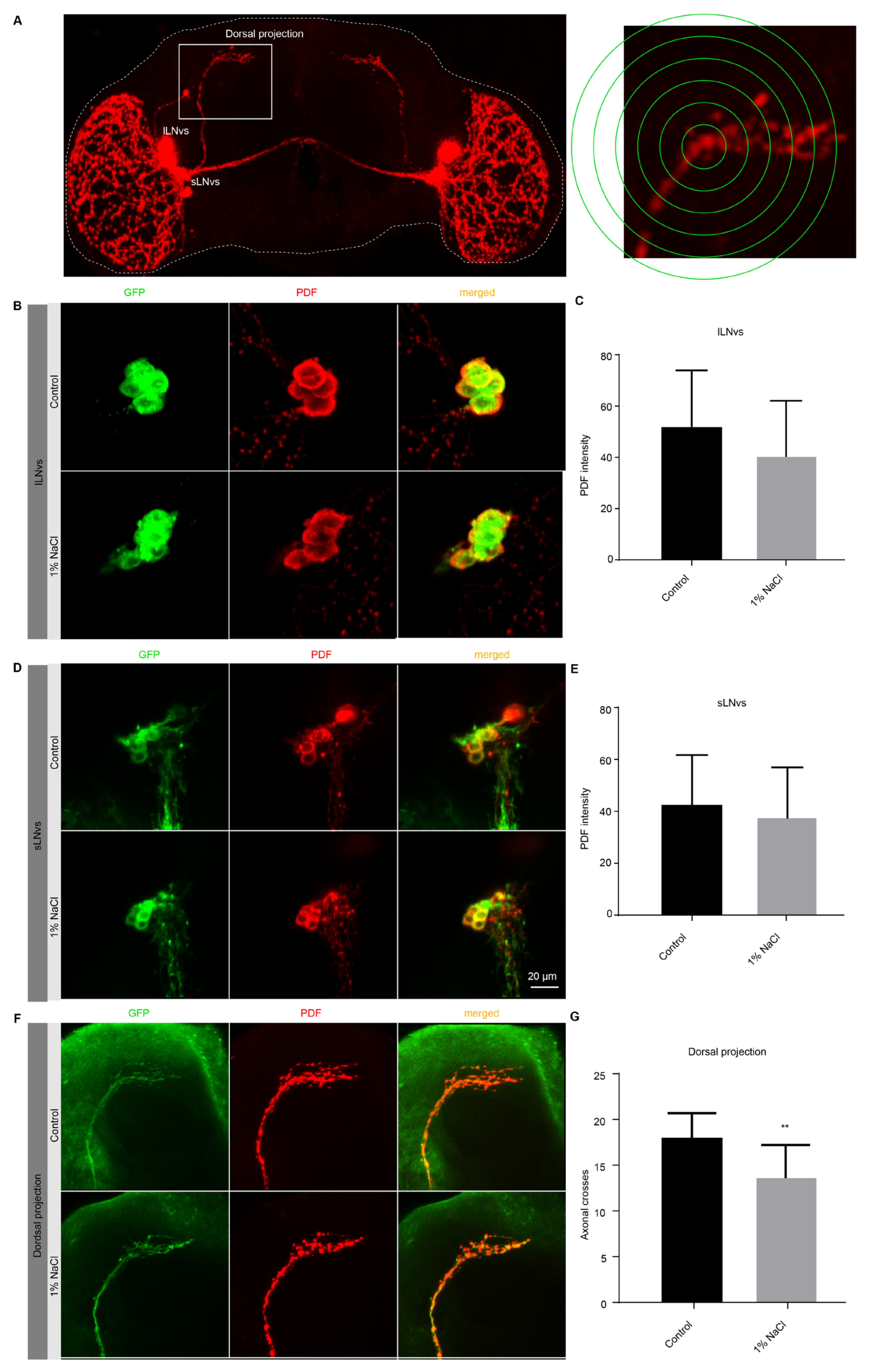 Nutrients 13 04123 g004
