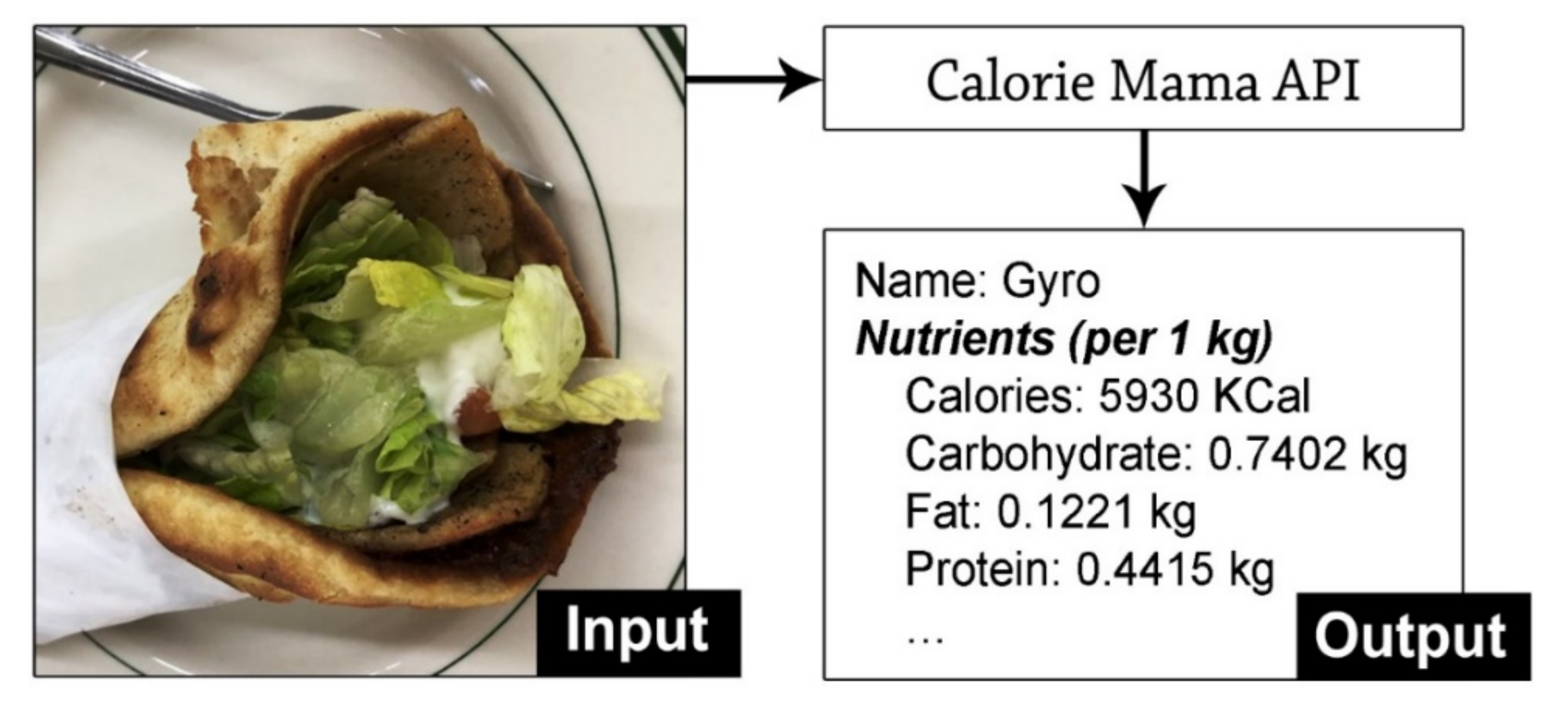 Nutrients 13 04132 g002