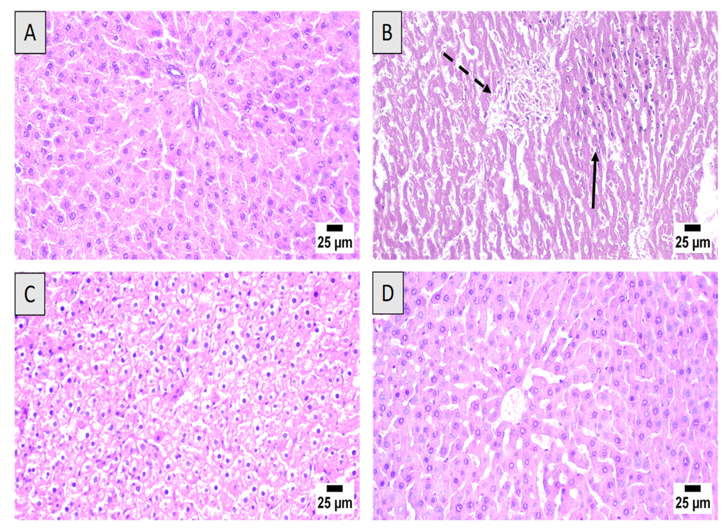 Nutrients 13 04142 g004