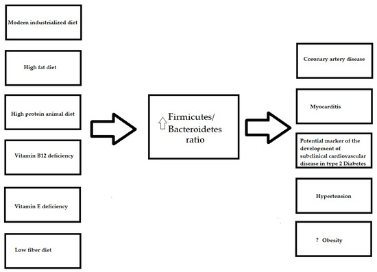 Nutrients 13 04146 g001 550