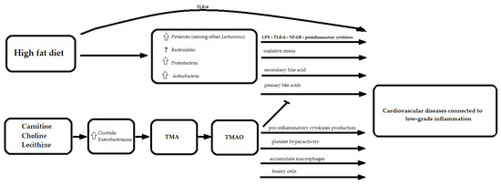 Nutrients 13 04146 g002 550