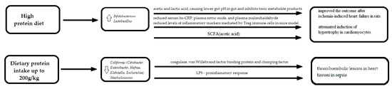 Nutrients 13 04146 g003 550